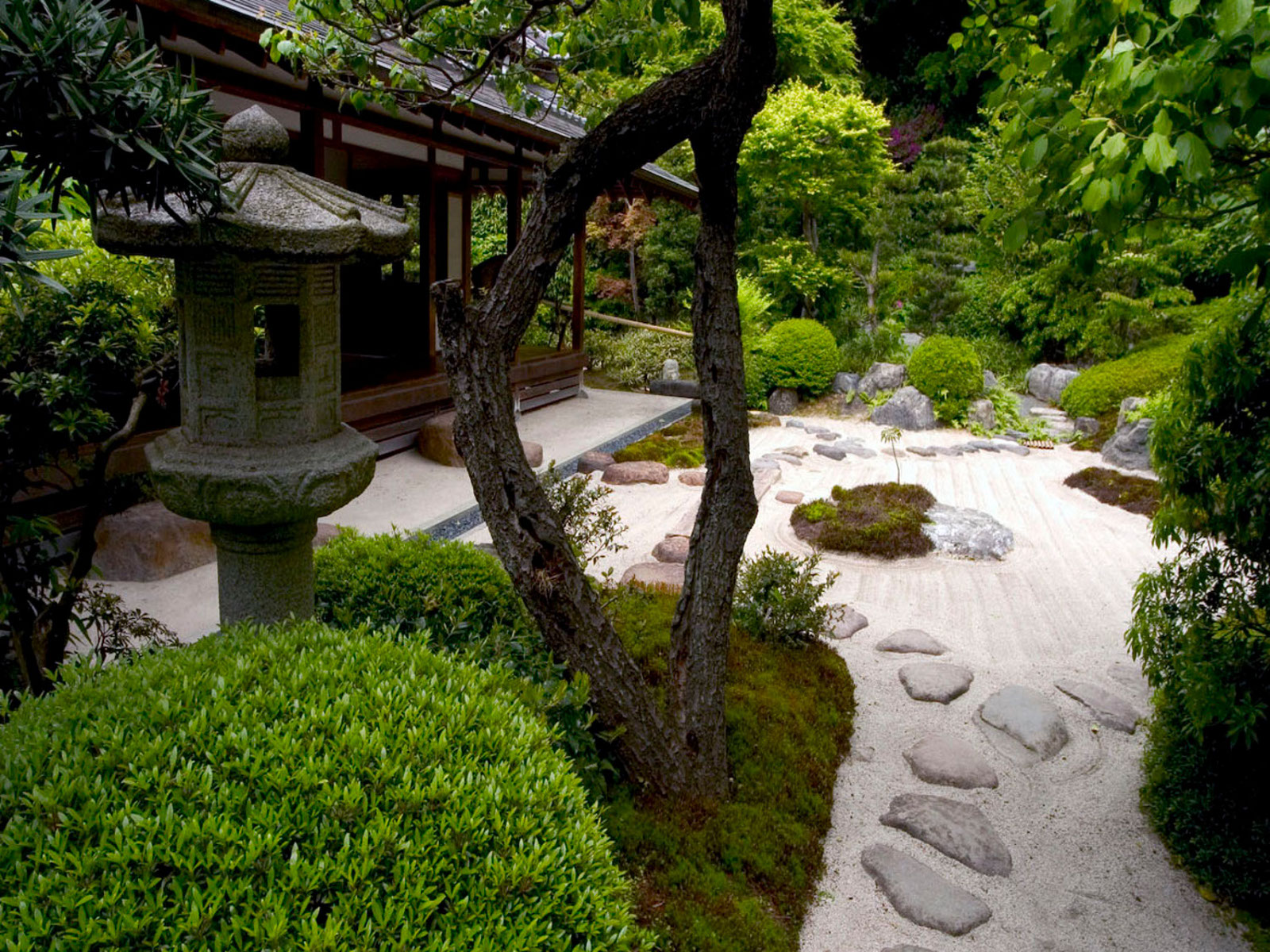 Free download zen garden wallpaper muzic world desktop wallpaper bonsai zen tree [1600x1200] for your Desktop, Mobile & Tablet. Explore Japanese Zen Garden Wallpaper. Zen Garden Wallpaper, Japanese Garden