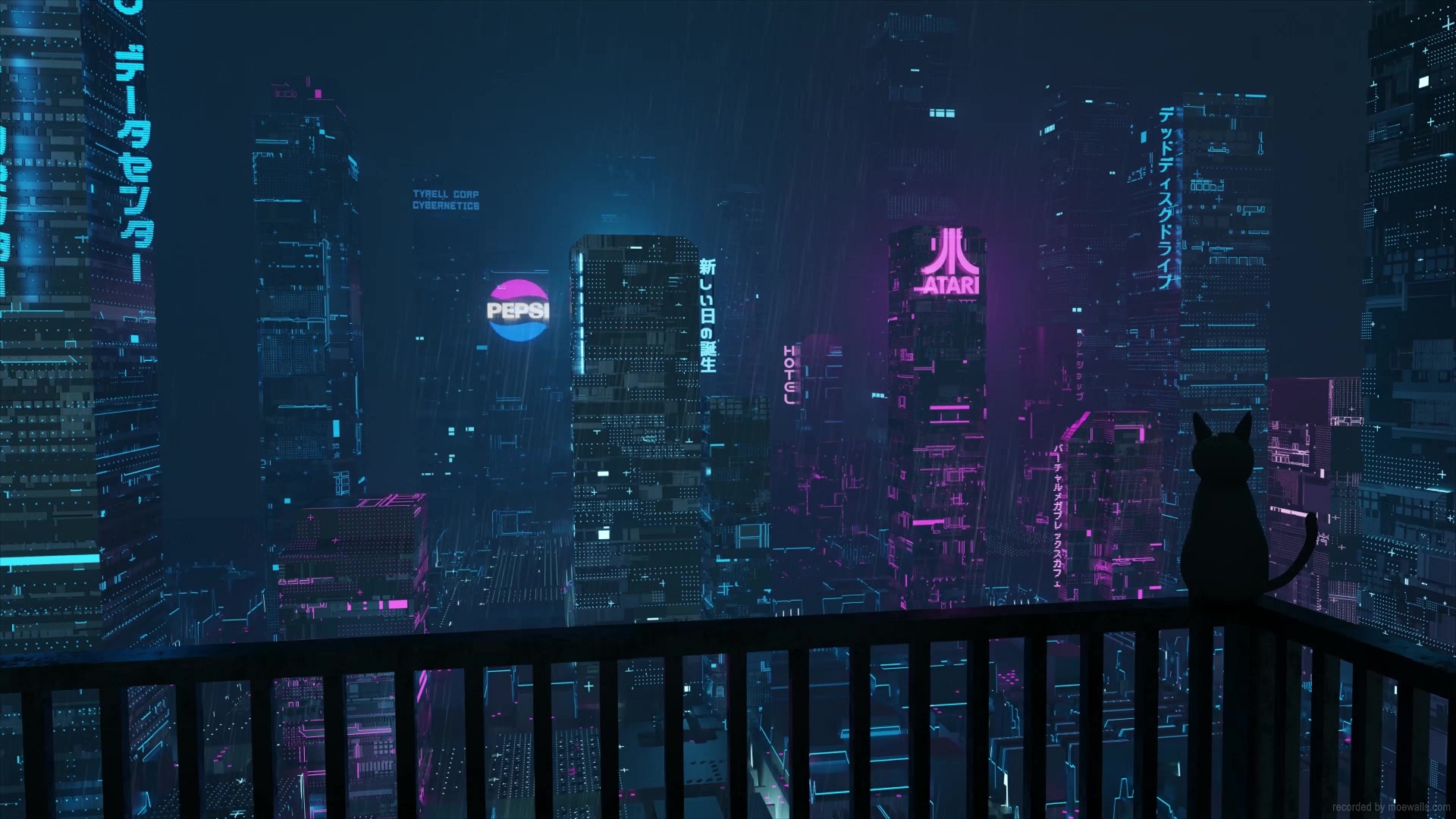 Cat Looking At Cyberpunk City Live Wallpaper