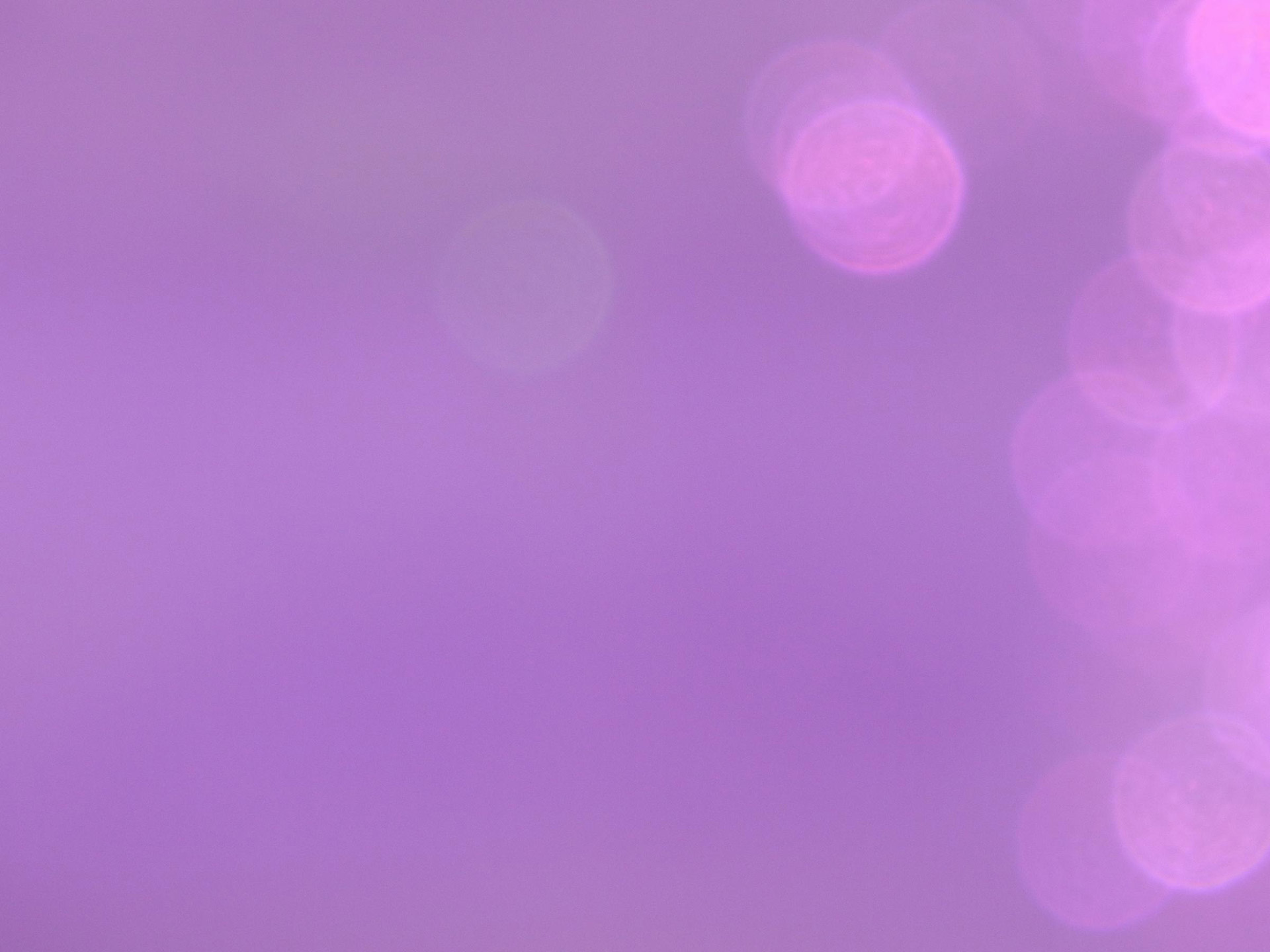 Download free photo of Violet, purple, background, bubbles, light