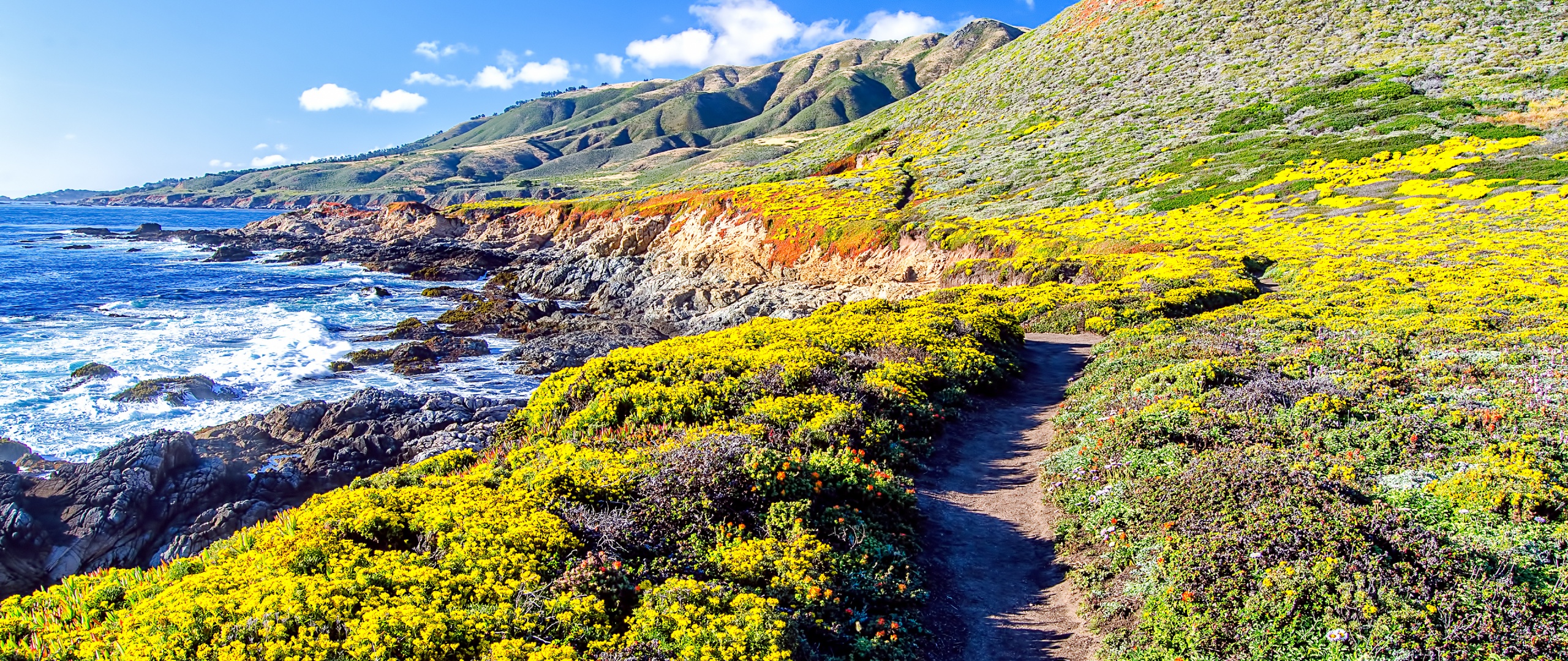 Big Sur Wallpaper 4K, Coastline, California