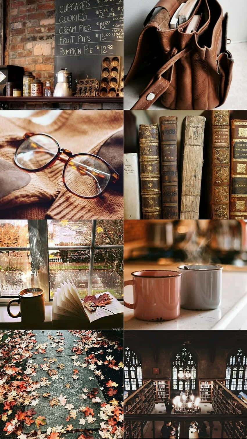 Download Studious Photo Wallpaper
