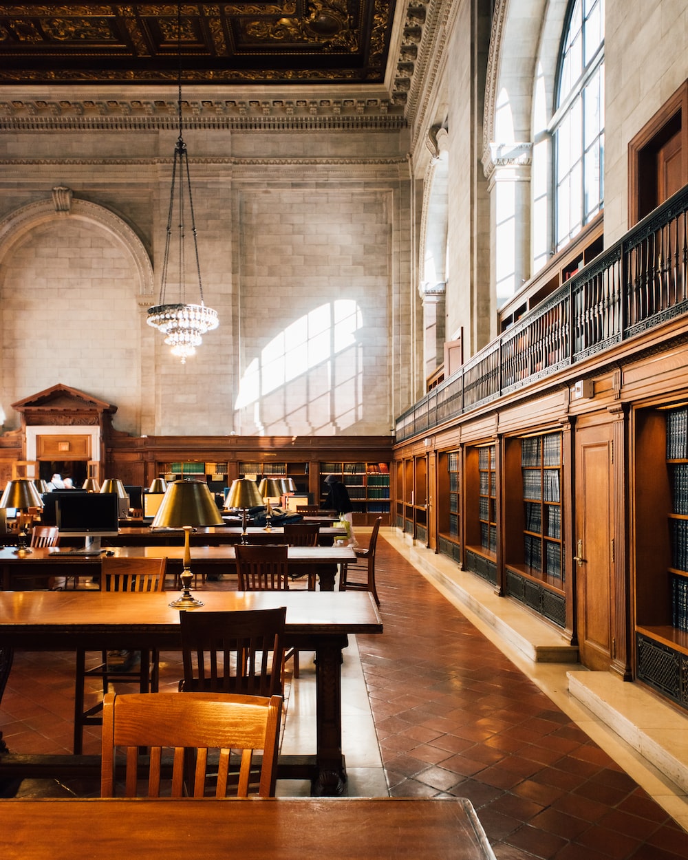 Studious Picture. Download Free Image