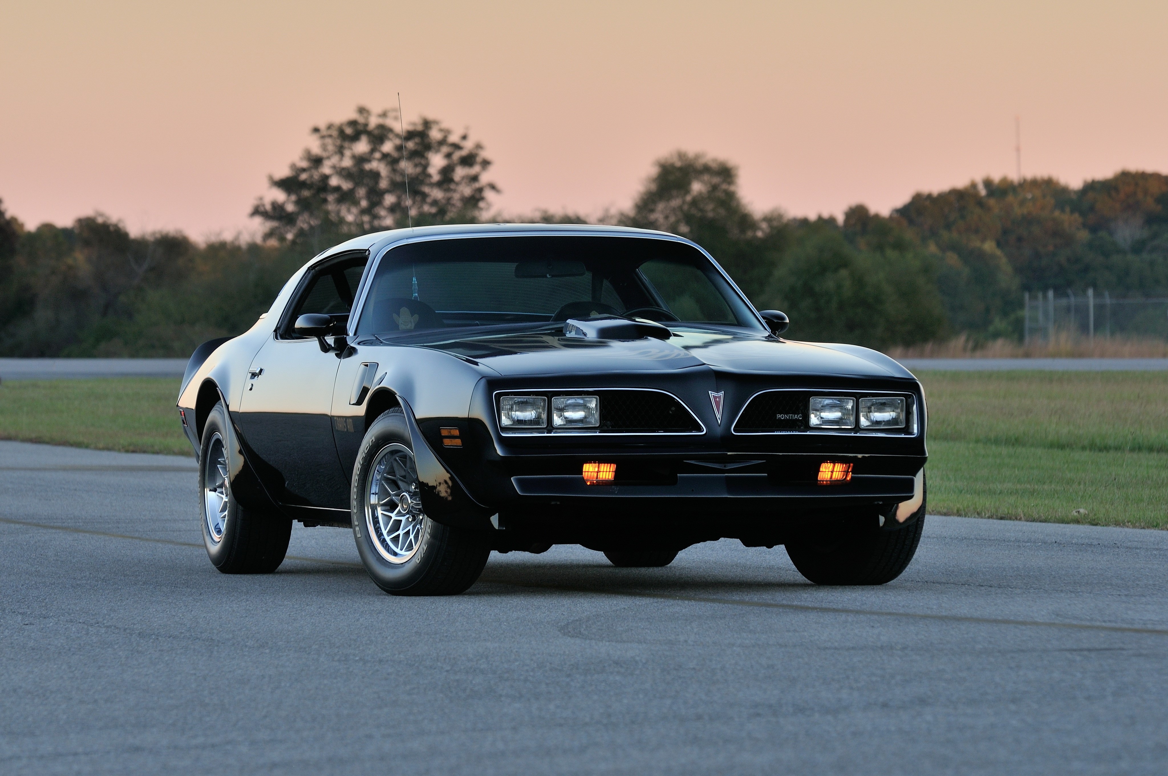 4K, 1978 Firebird Trans Am WS6 T Top, Pontiac, Black, Front Gallery HD Wallpaper