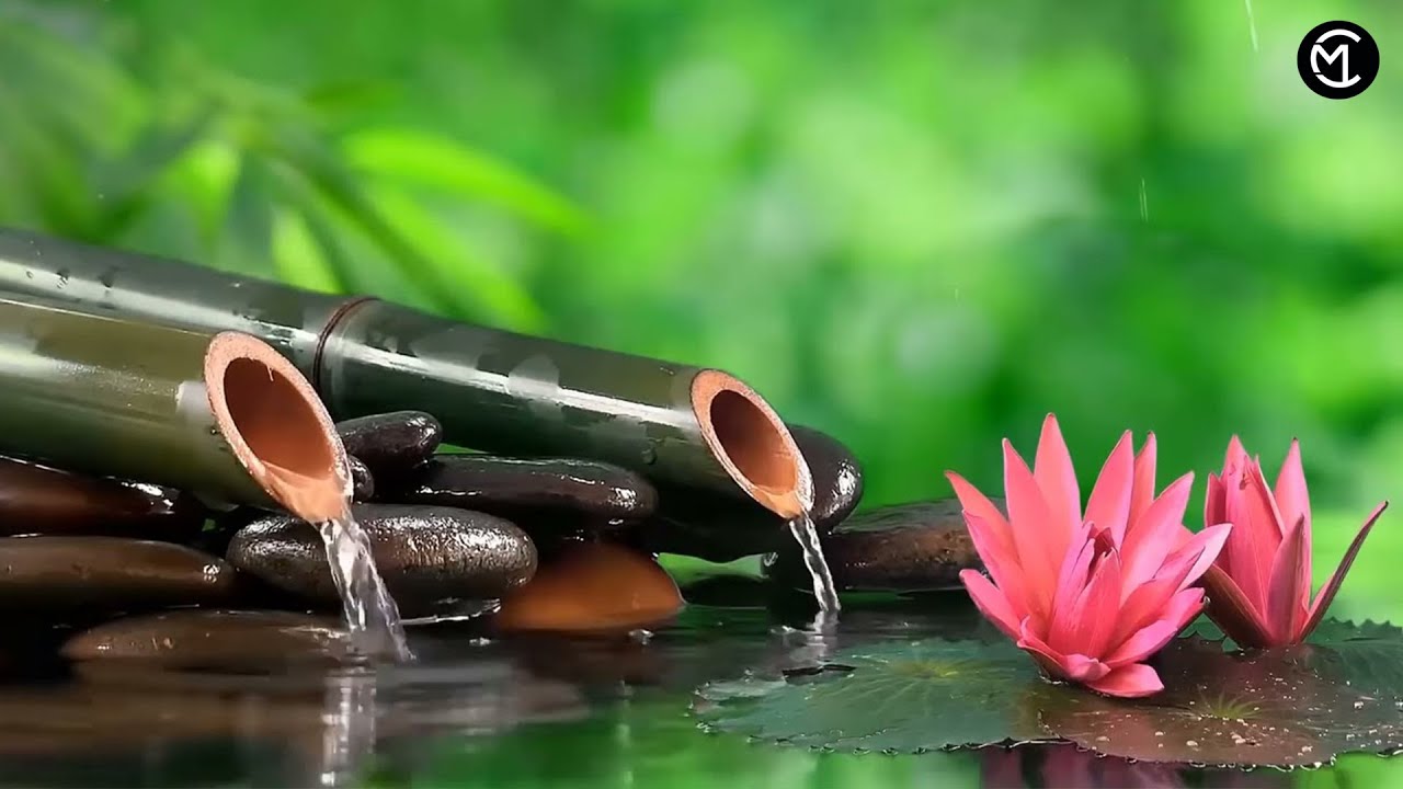 Relax music with the sounds of nature Bamboo Water Fountain Healing Music BGM