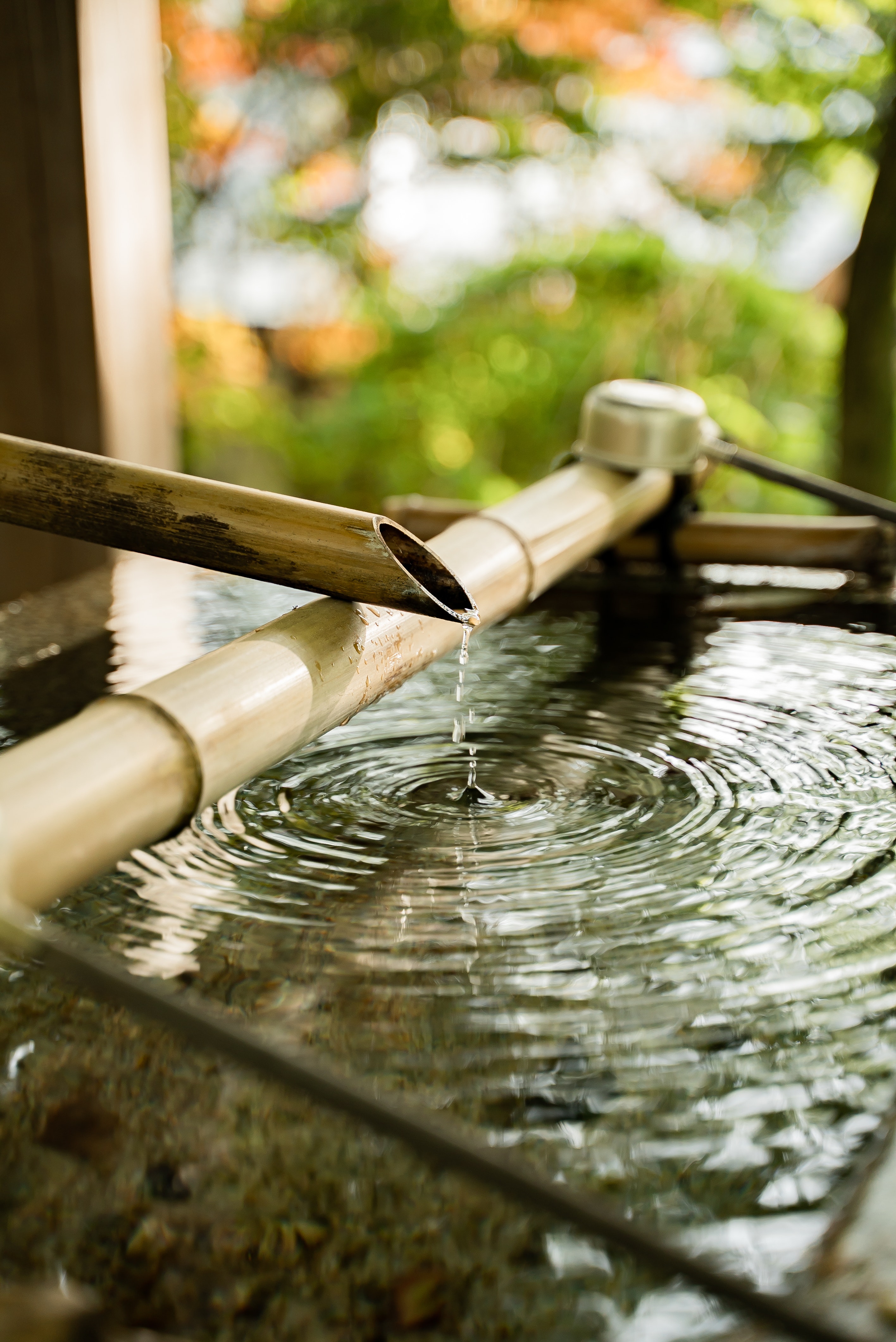 Water Dripping from Traditional Bamboo Fountain · Free