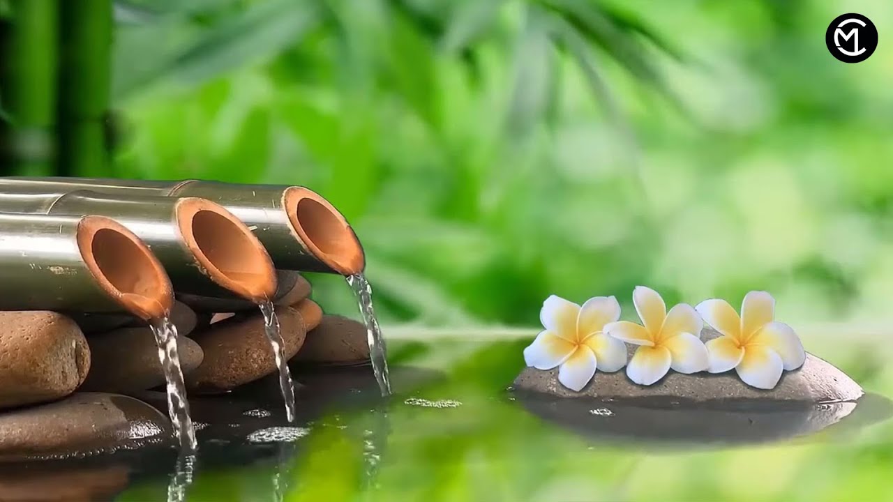 Relaxing music with the sound of nature bamboo water fountain