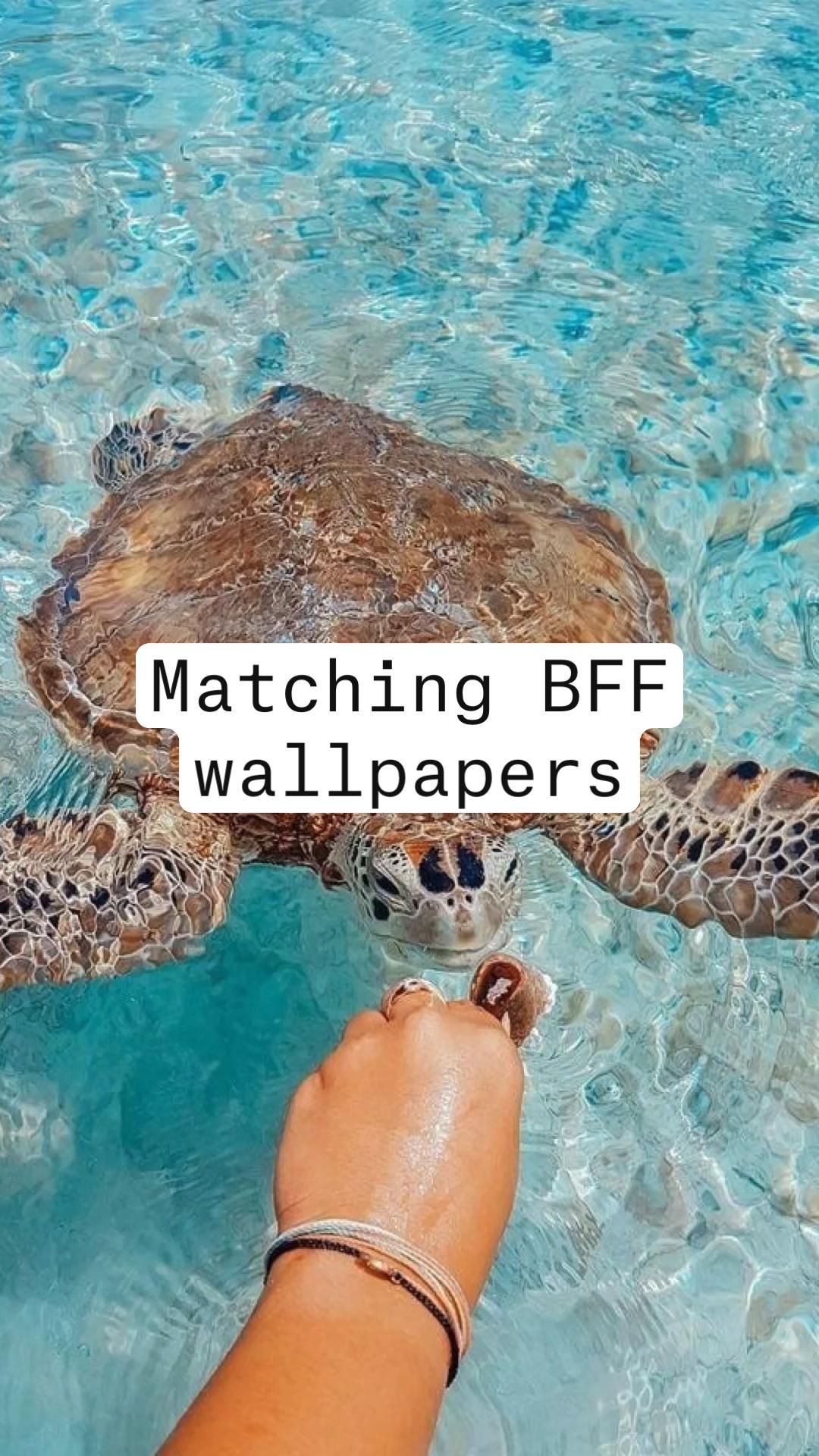 Preppy BFF Wallpaper