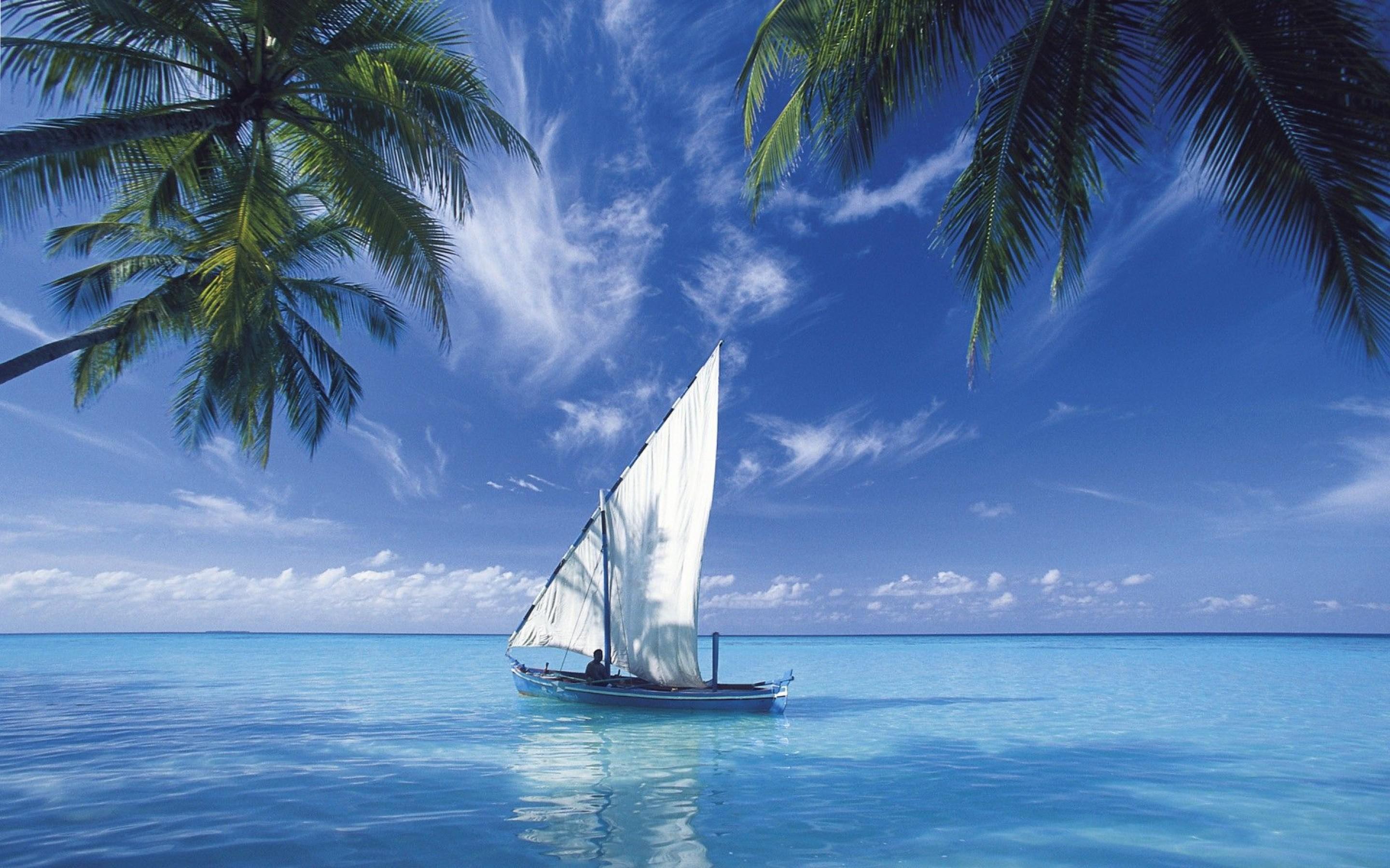 Wallpaper White Sail Boat on Blue Sea Under Blue Sky During Daytime, Background Free Image