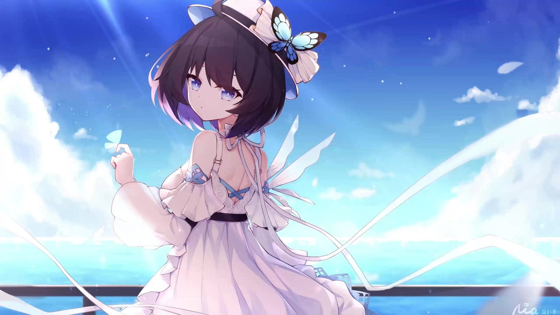 Seele Vollerei Summer Dress Honkai Impact 3rd Live Wallpaper