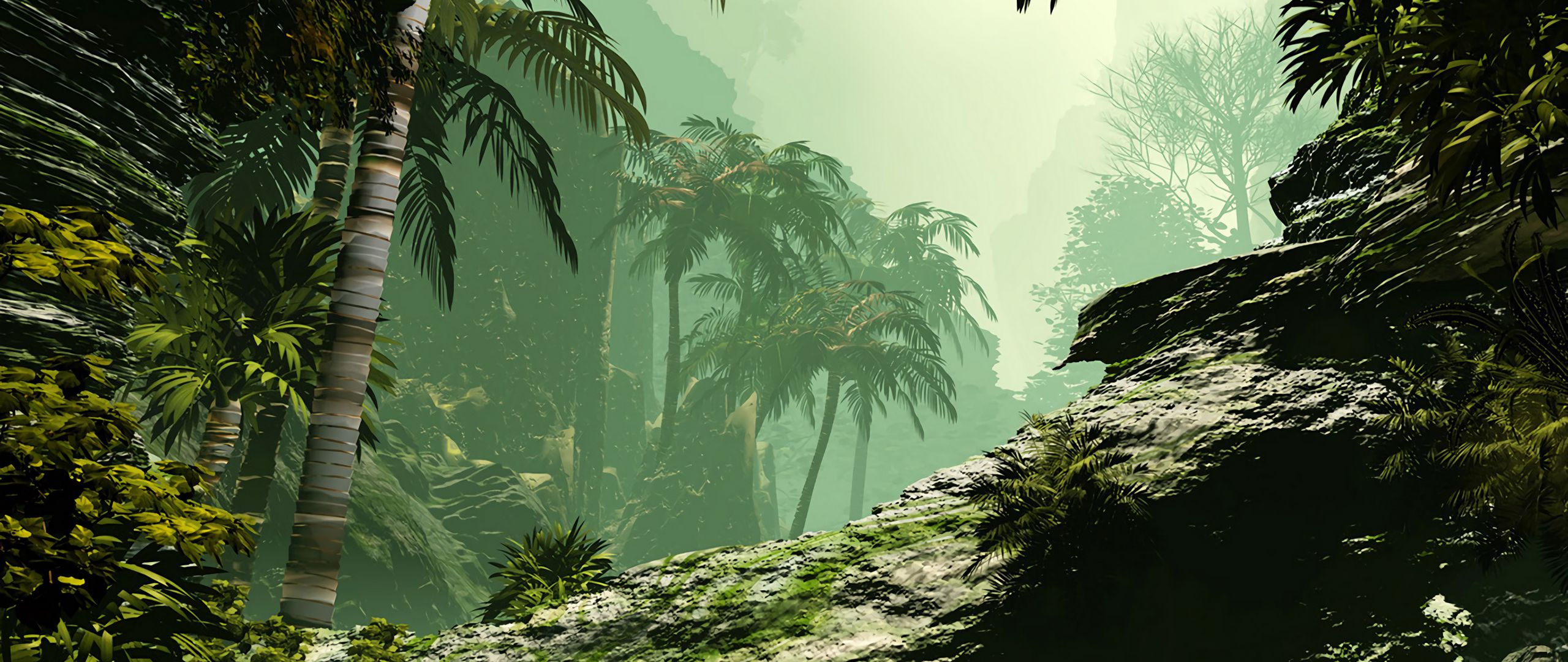 Download wallpaper 2560x1080 palms, jungle, art, vegetation dual wide 1080p HD background