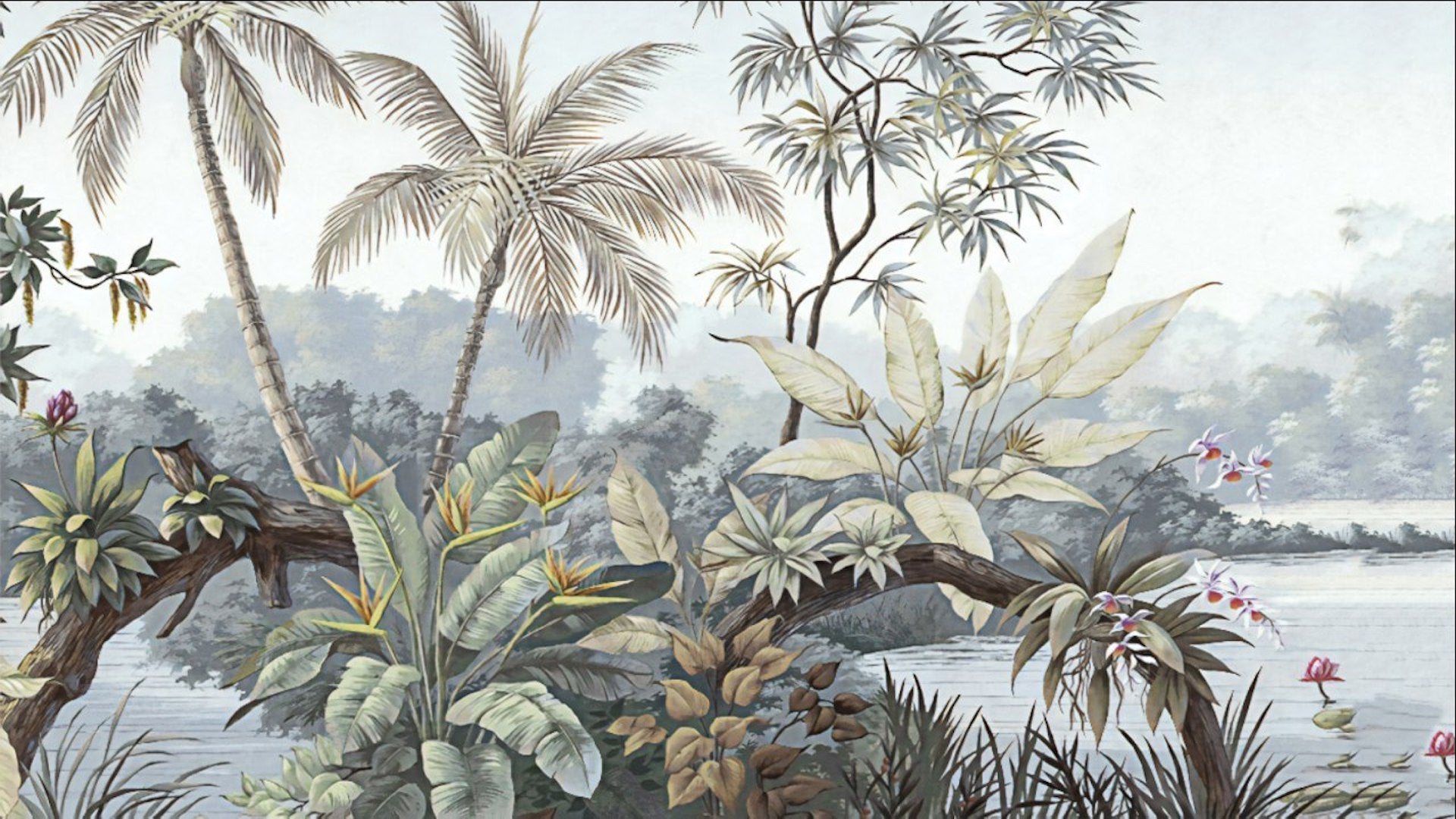 Tropical Jungle Forest Nature Wallpaper a Touch of Nature