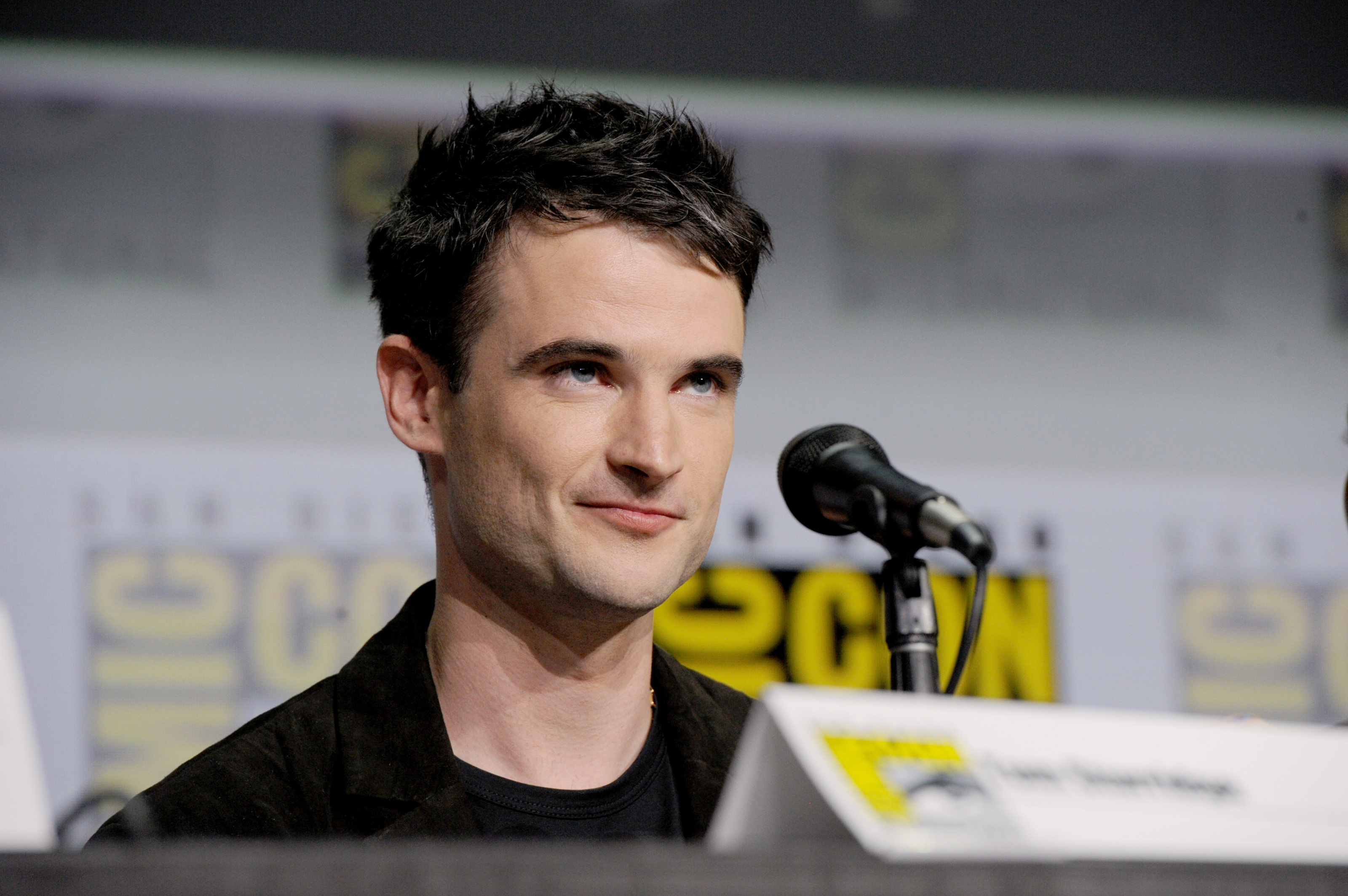 The Sandman star Tom Sturridge's age, height, girlfriends, roles
