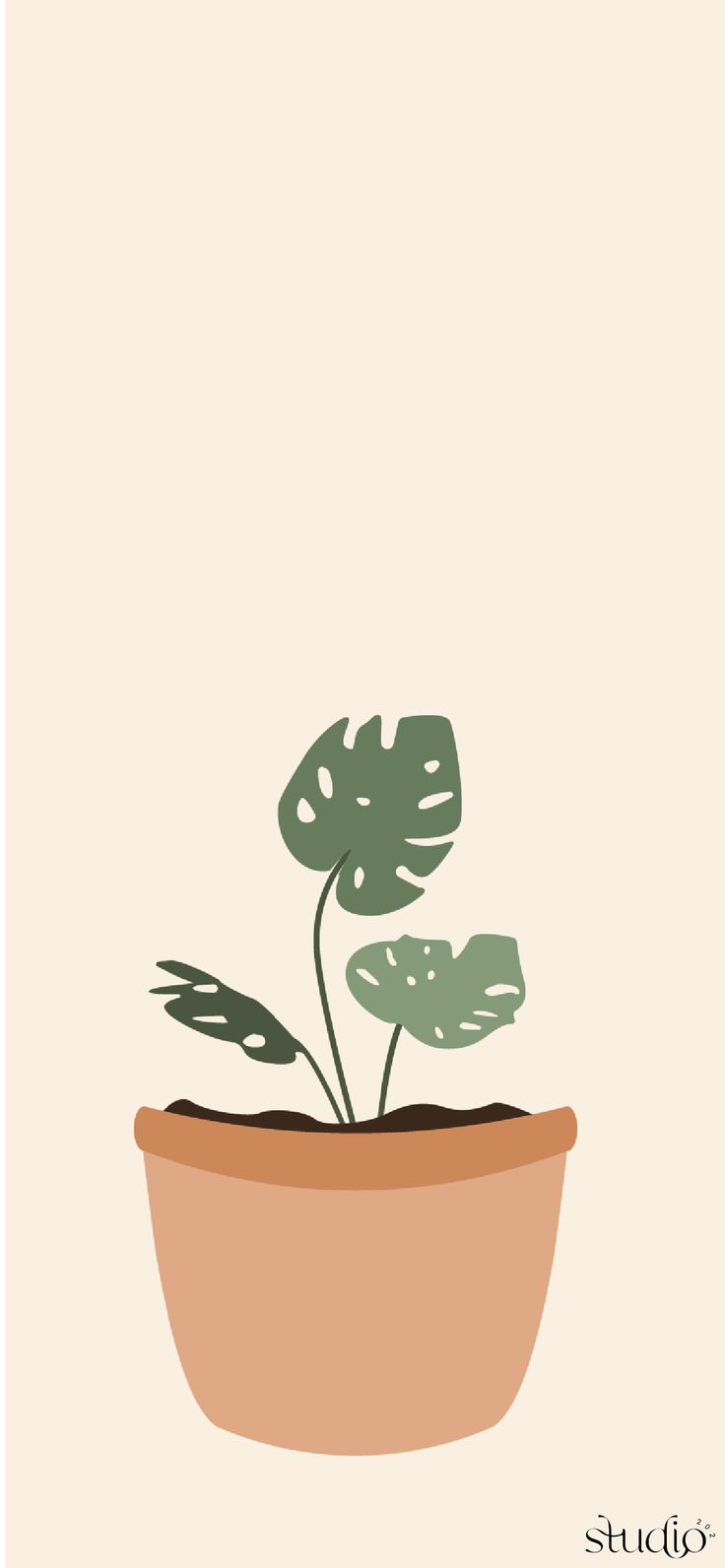 Monstera House Plant Phone Wallpaper 202. Plant wallpaper, Plant mom wallpaper, Simple wallpaper