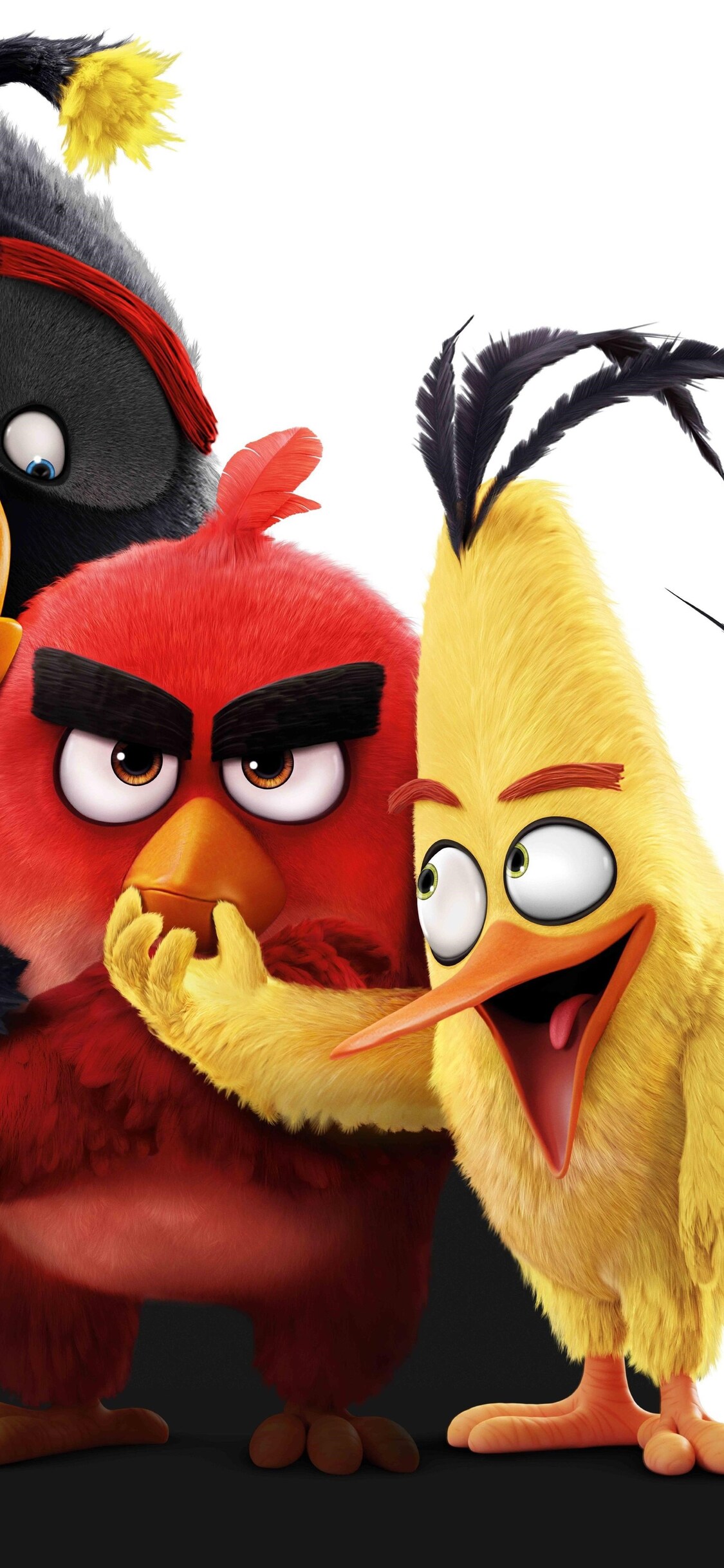 The Angry Birds 8k iPhone XS, iPhone 10, iPhone X HD 4k Wallpaper, Image, Background, Photo and Picture