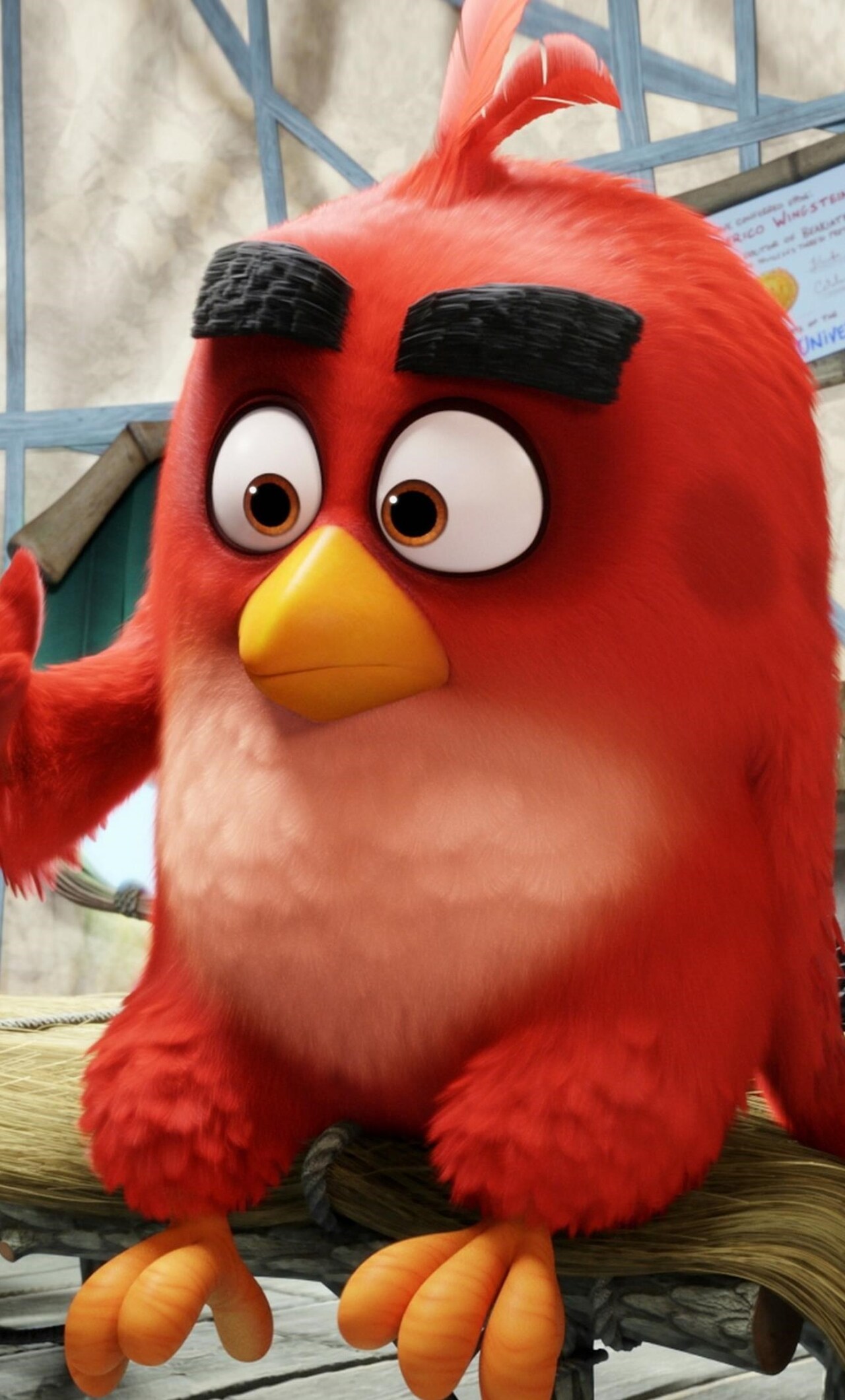 Red The Angry Birds iPhone HD 4k Wallpaper, Image, Background, Photo and Picture