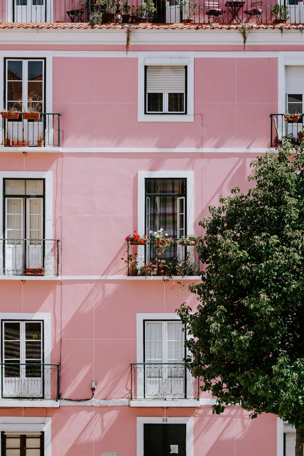 Pink Wallpaper: Free HD Download [HQ]