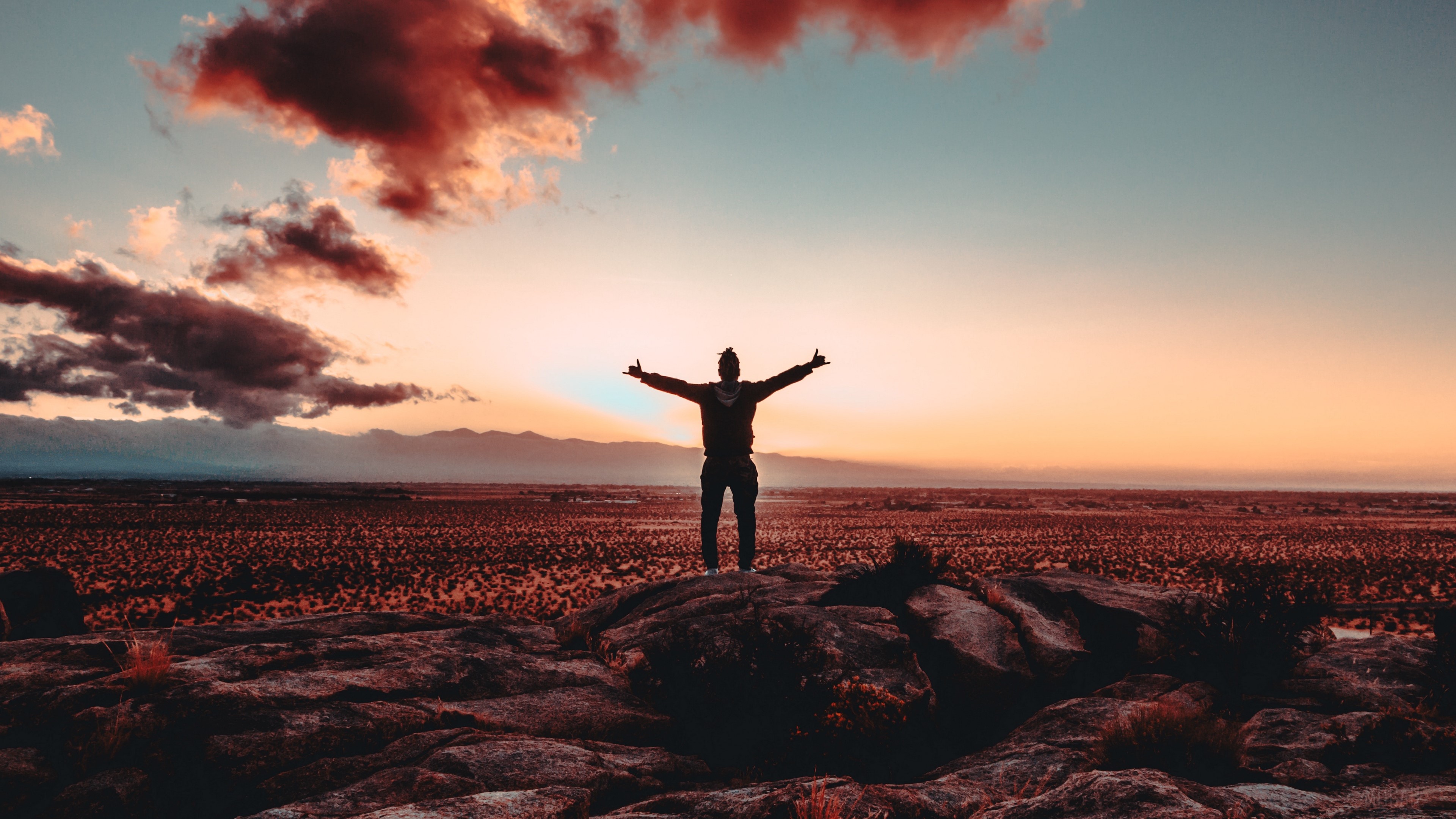 freedom 1080P, 2k, 4k HD wallpaper, background free download