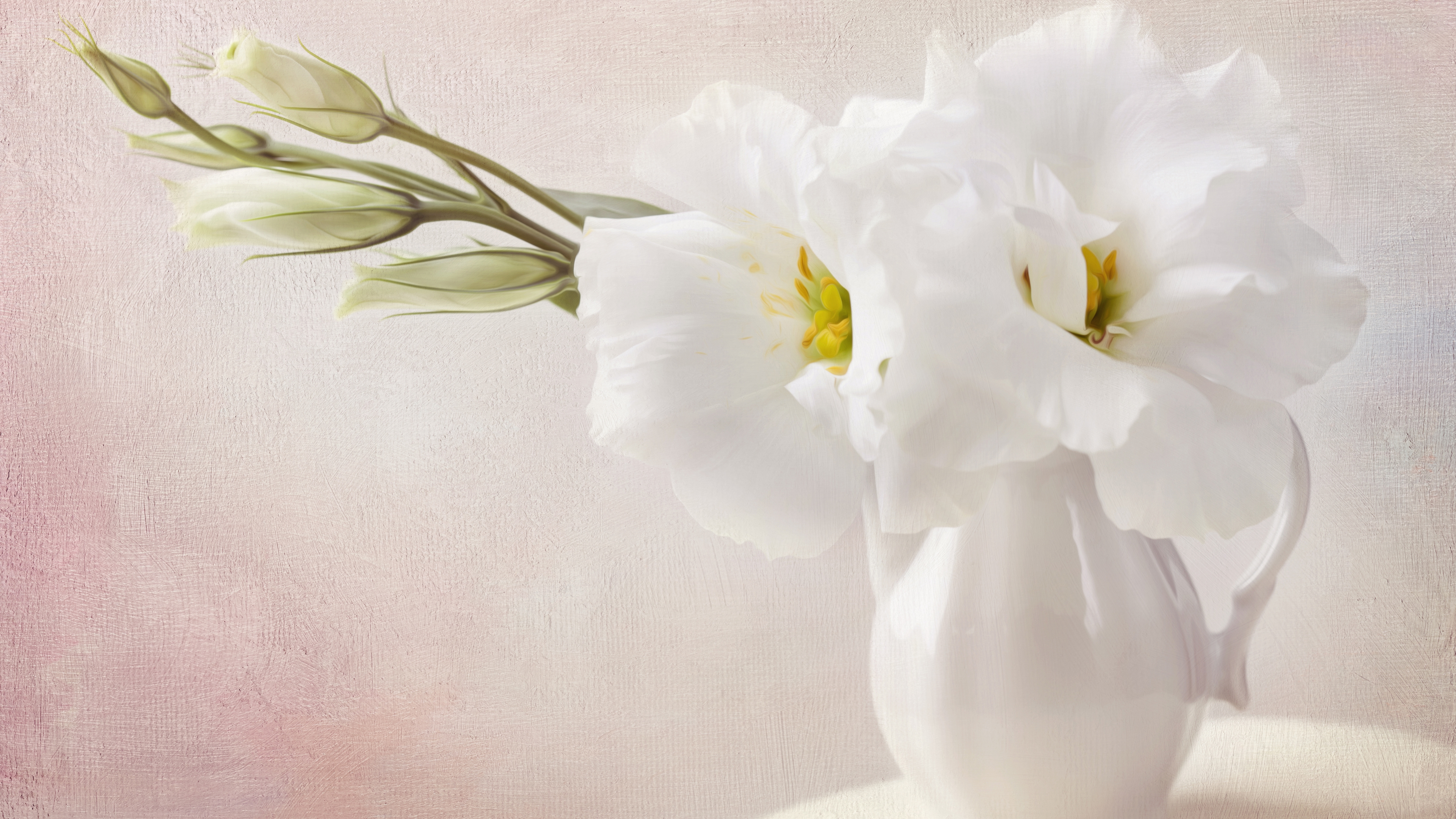 of Flowers 4K wallpaper for your desktop or mobile screen