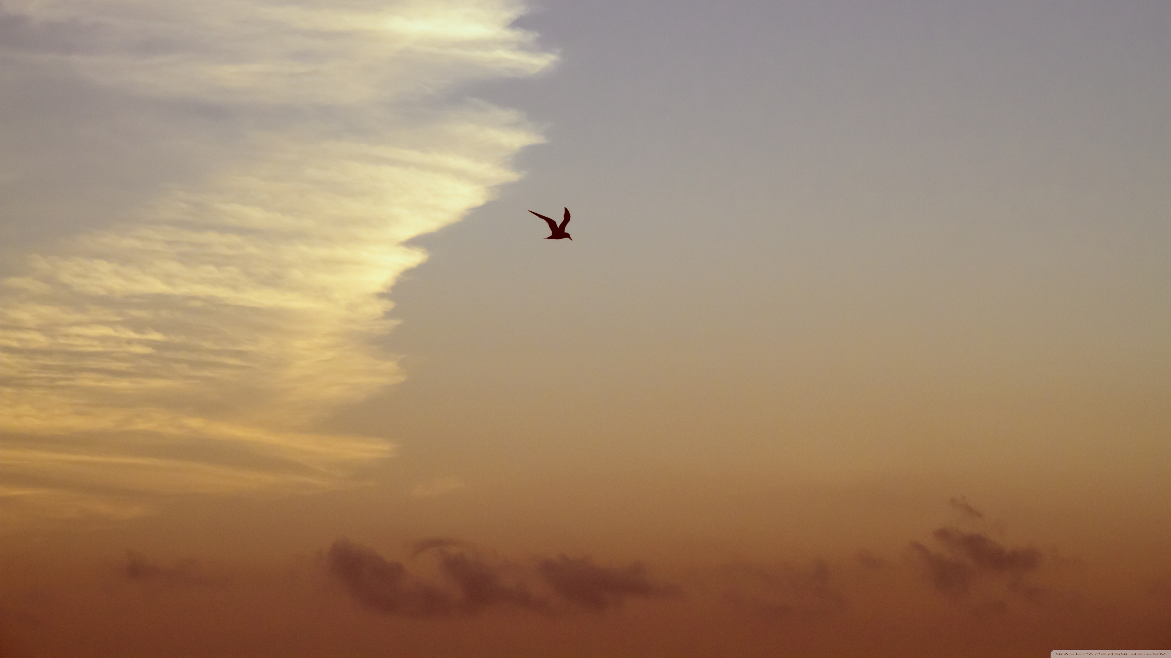 Freedom Ultra HD Desktop Background Wallpaper for 4K UHD TV, Widescreen & UltraWide Desktop & Laptop, Tablet