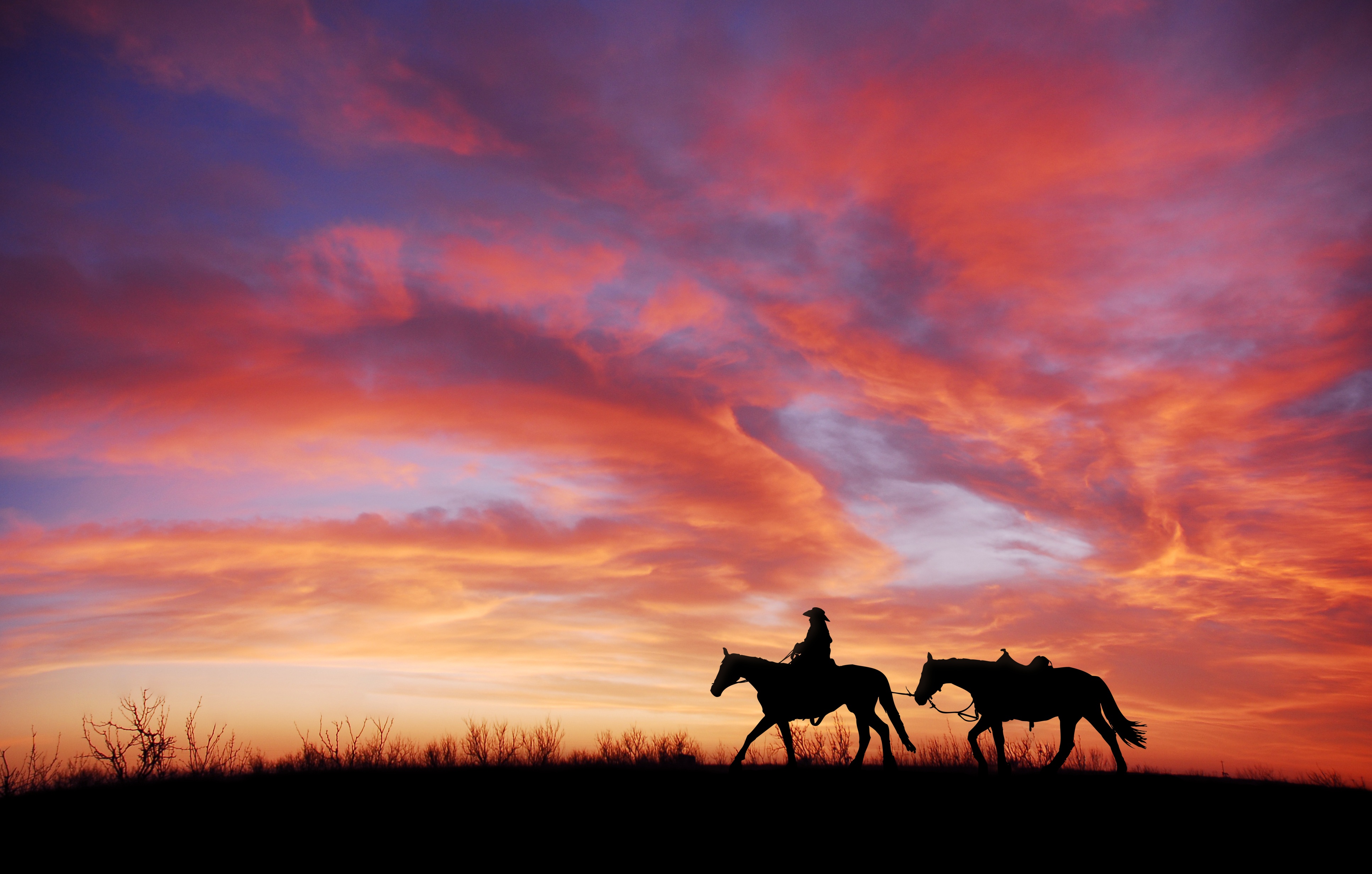 Cowboy Wallpaper 4K, Horses, Silhouette, Dawn, Sunset