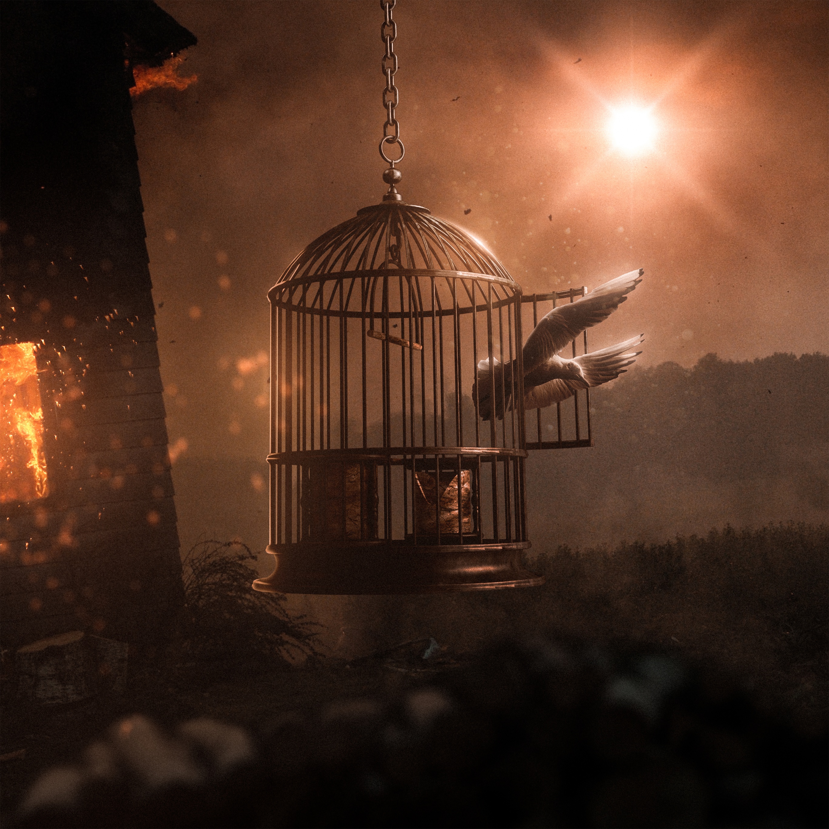Dove Wallpaper 4K, Cage, Freedom, Surreal