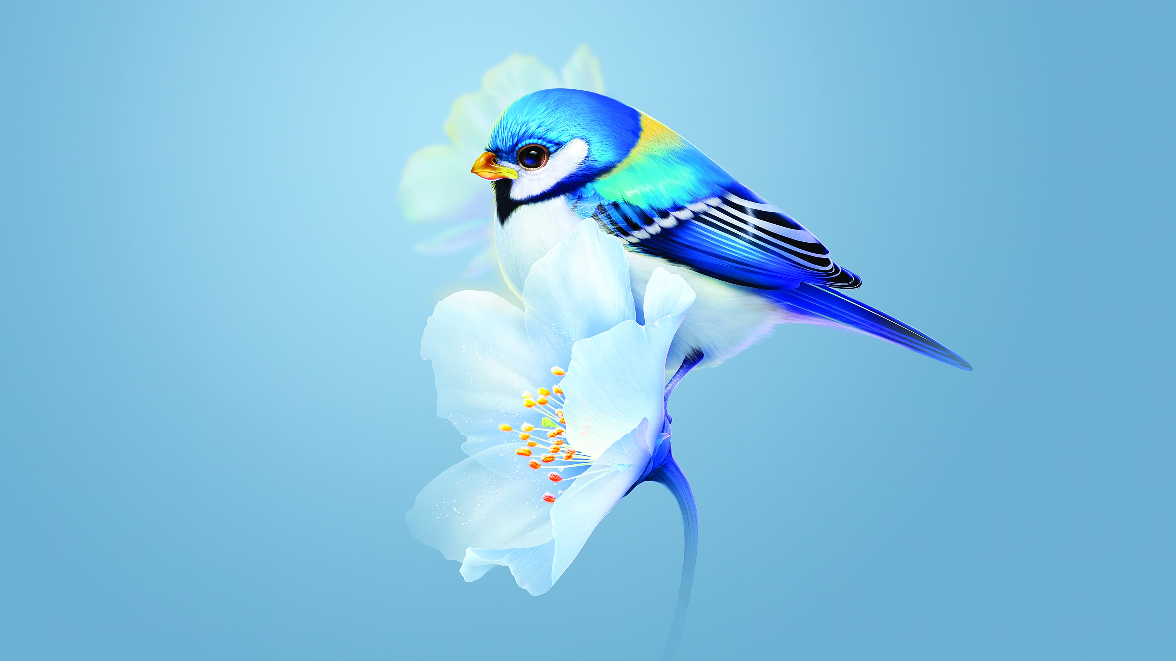 Cute bird Wallpaper 4K, Blue flower