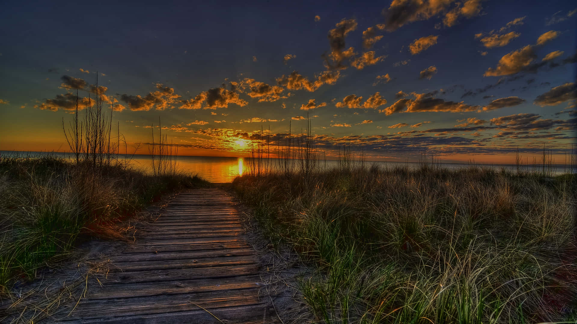 End Of Summer Wallpaper