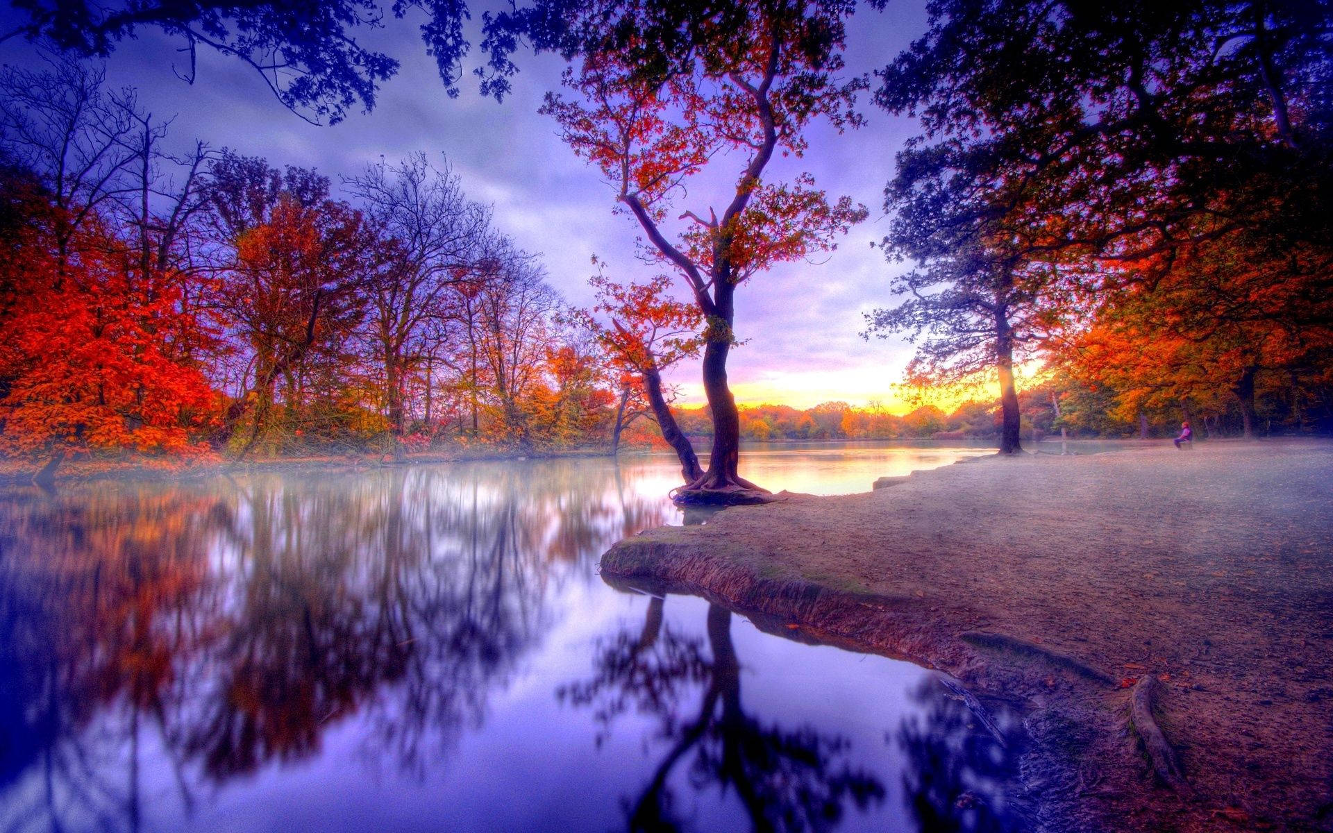 1920x1200 Wallpaper