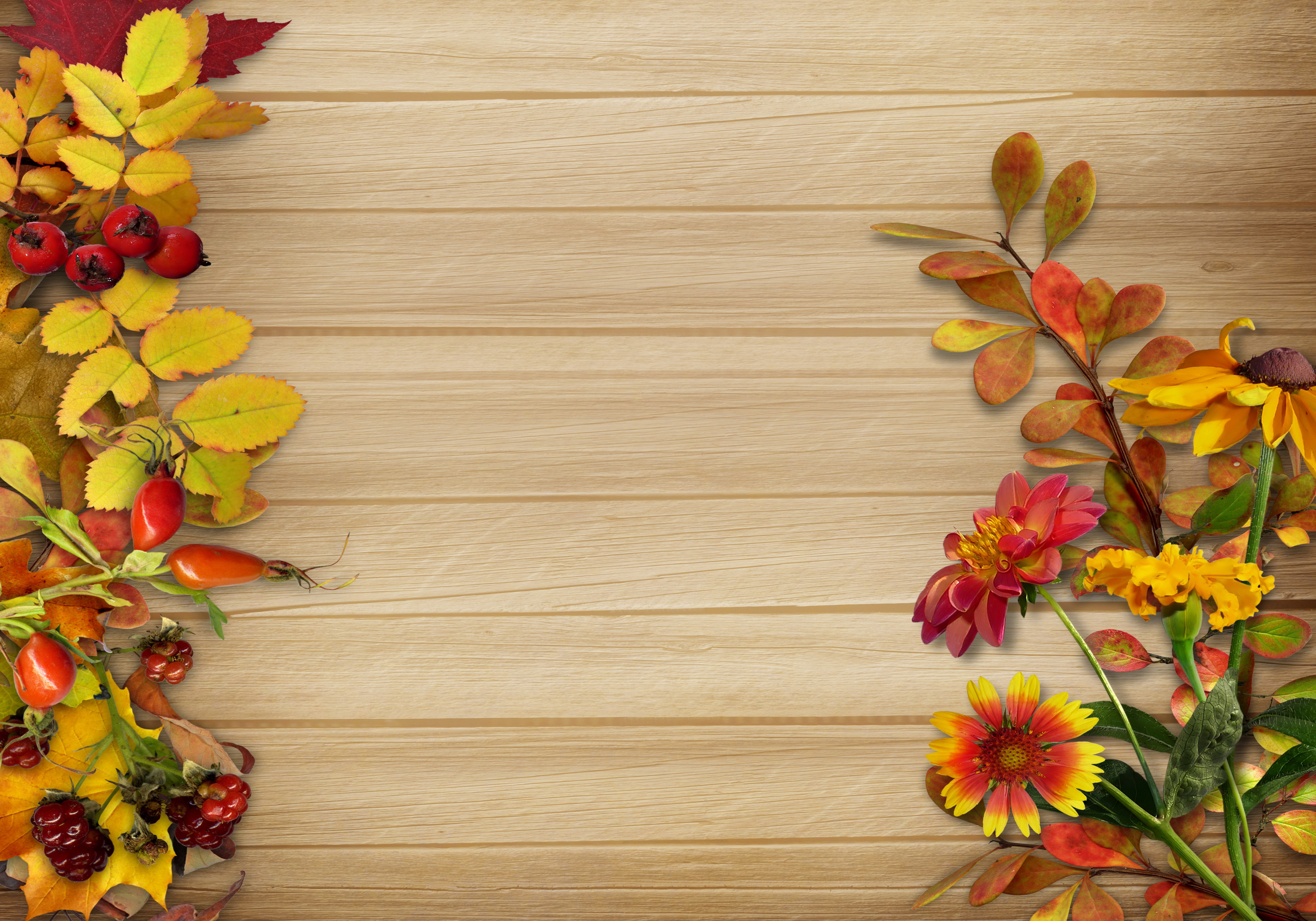 Artistic Fall 4k Ultra HD Wallpaper