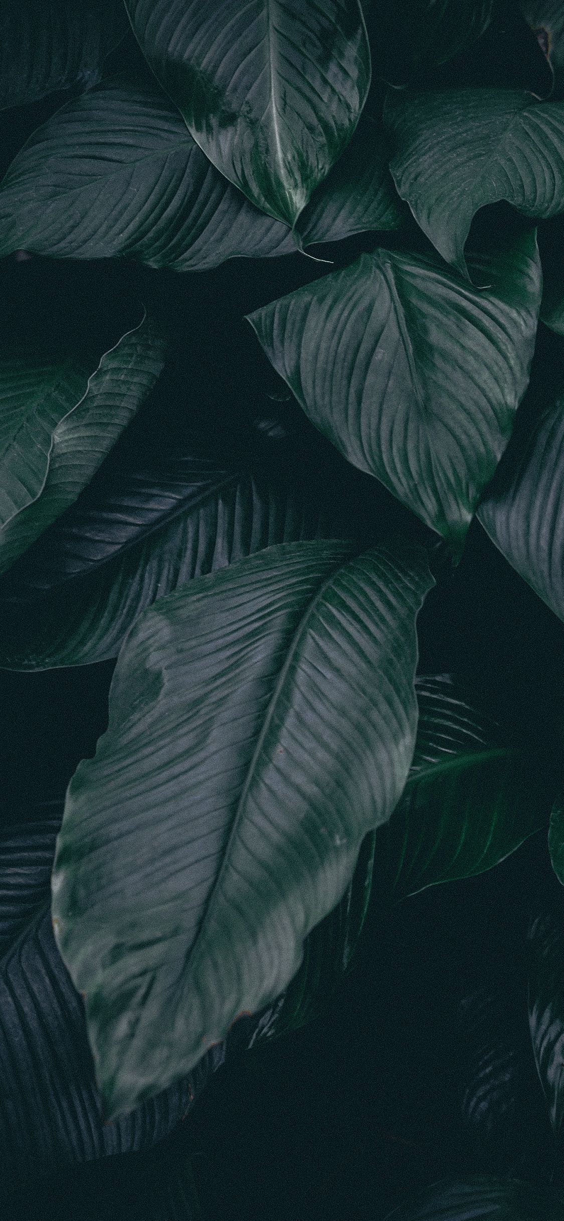 Awesome iPhone 8 iPhone Xs or iPhone Xr Wallpaper. Wallpaper iphone cute, iPhone homescreen wallpaper, Background phone wallpaper