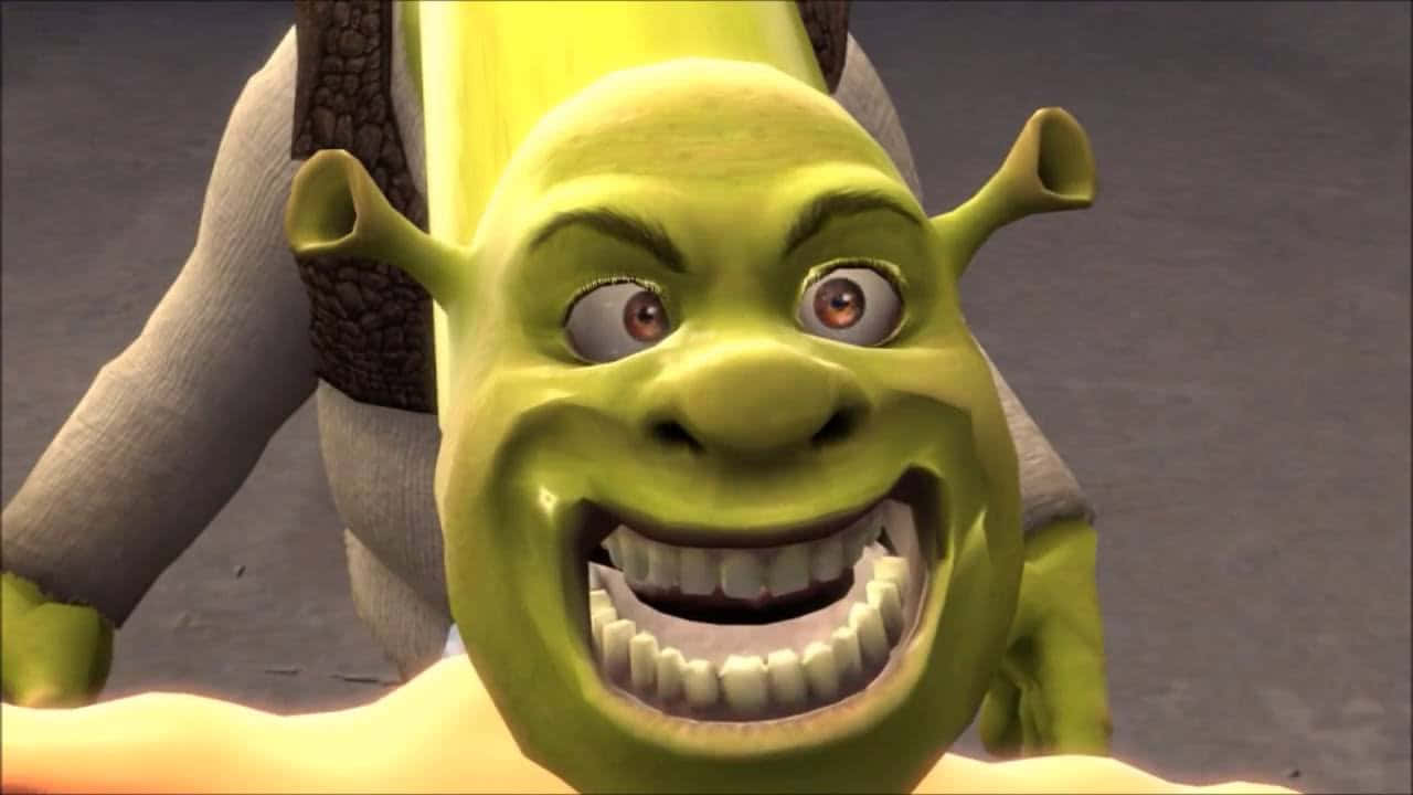 Download Donkey and Shrek having a laugh!