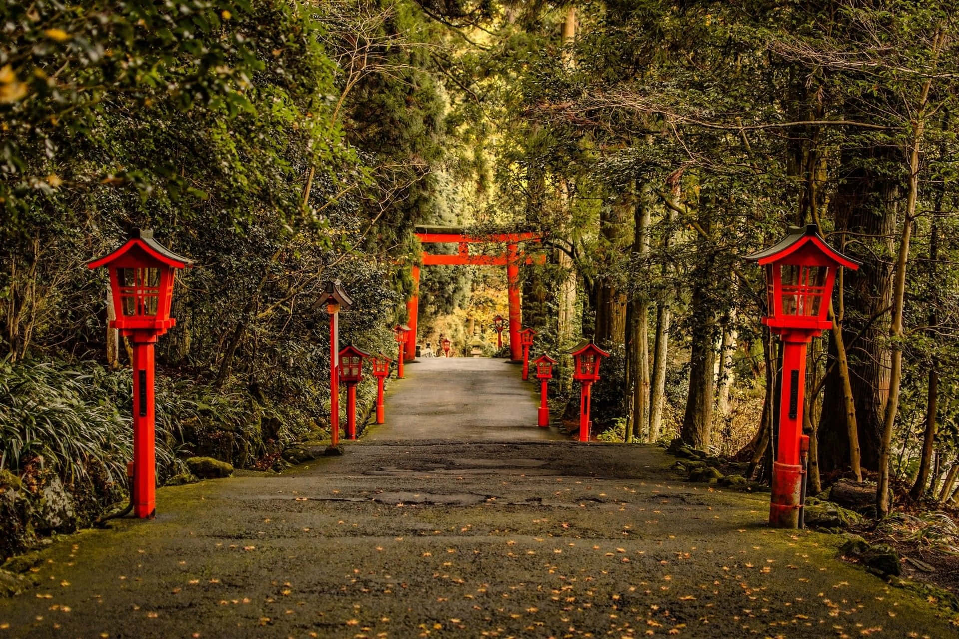Torii Gate Background s