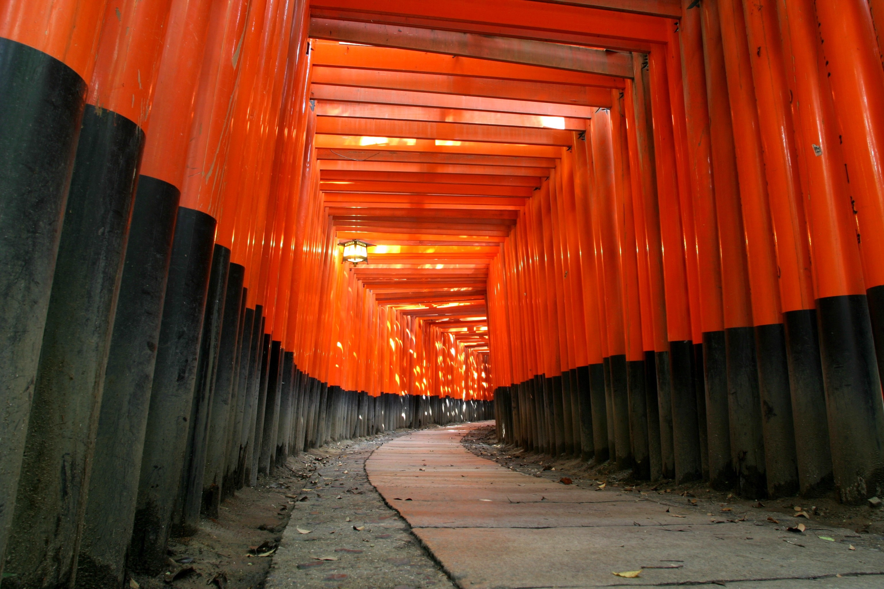 Japan, sunlight, red, wood, house, orange, torii, tunnel, path, interior design, infrastructure, urban area Gallery HD Wallpaper