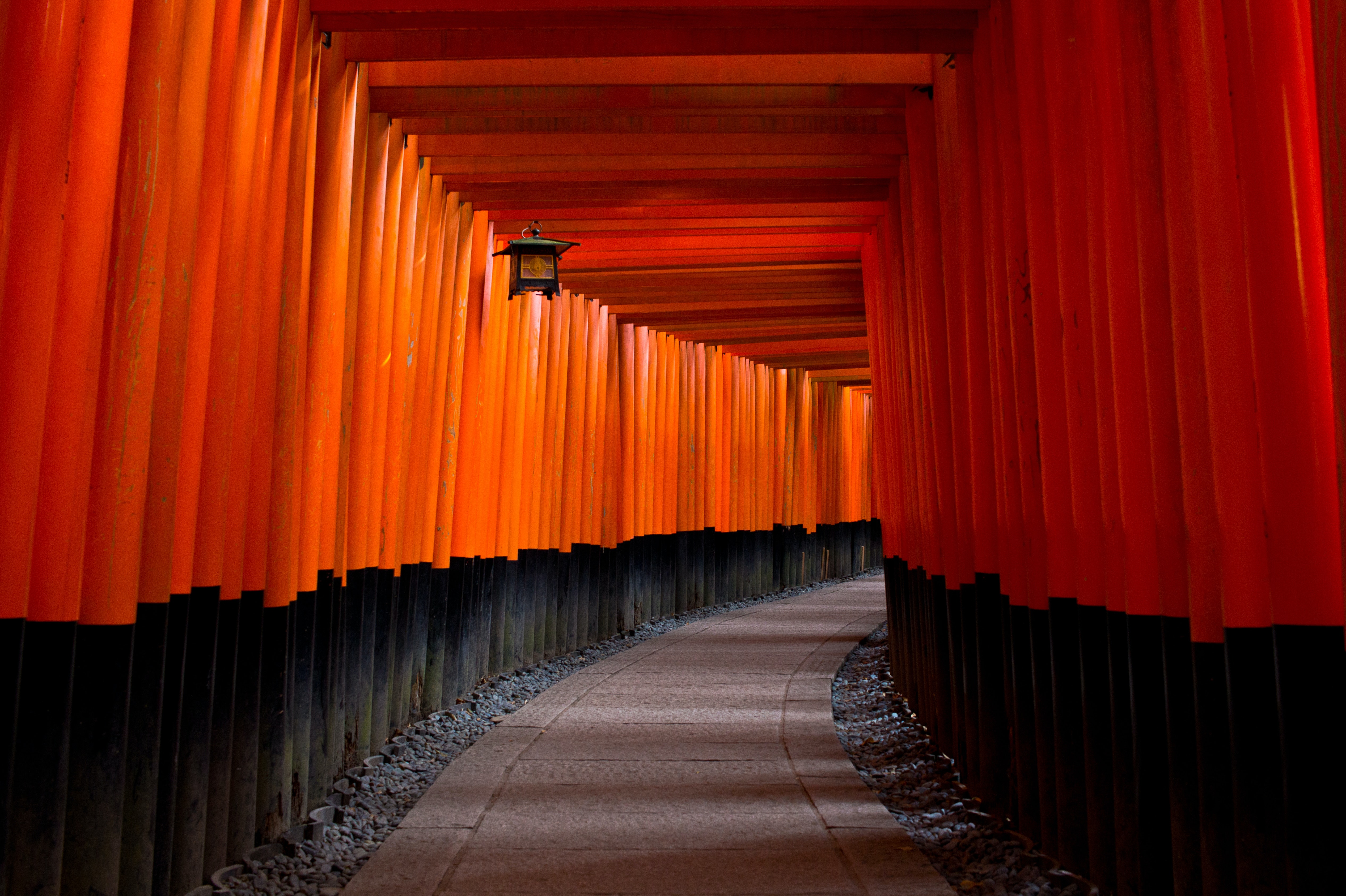 Torii Photo, Download The BEST Free Torii & HD Image