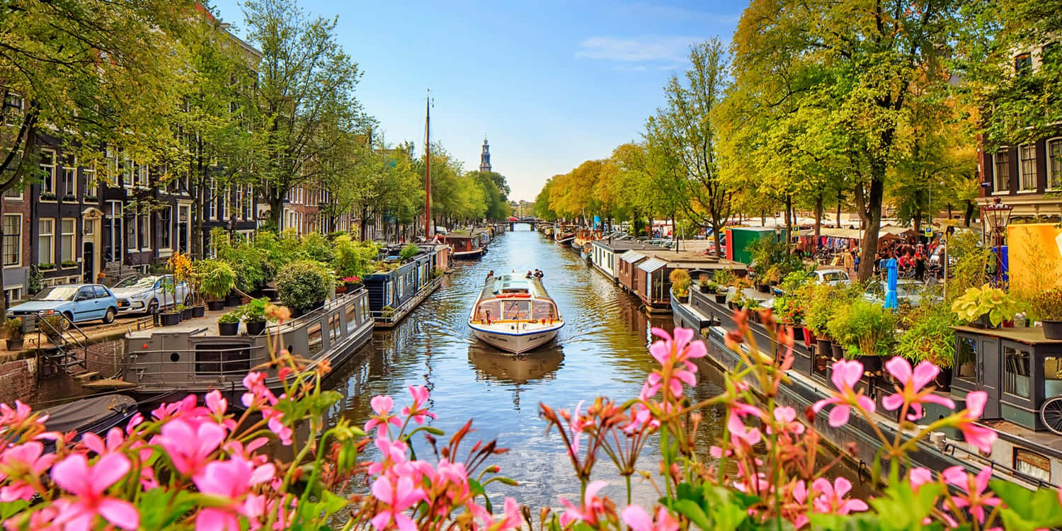 Amsterdam Spring Wallpaper