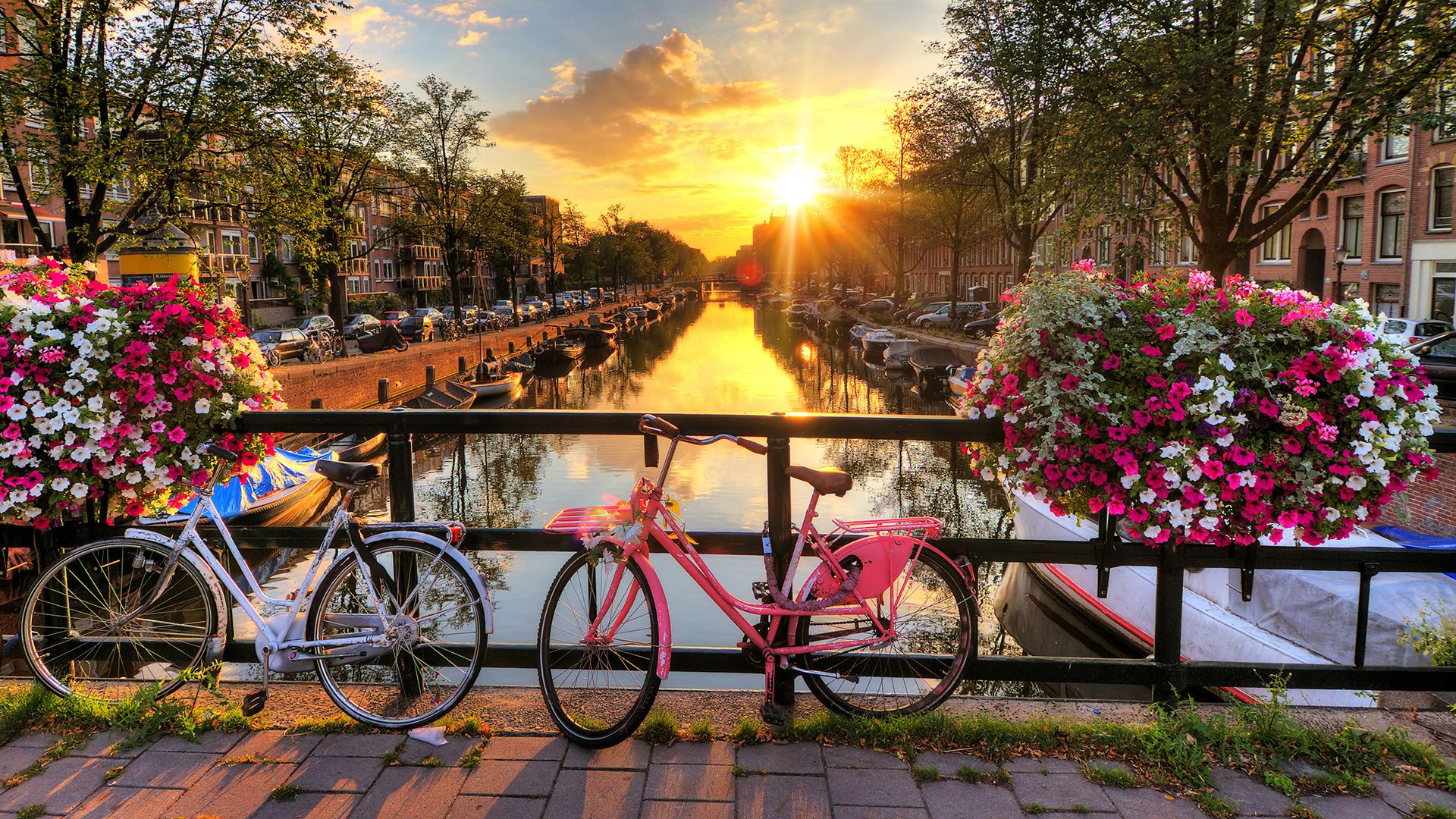 Amsterdam, the city of innumerable canals and rich culture