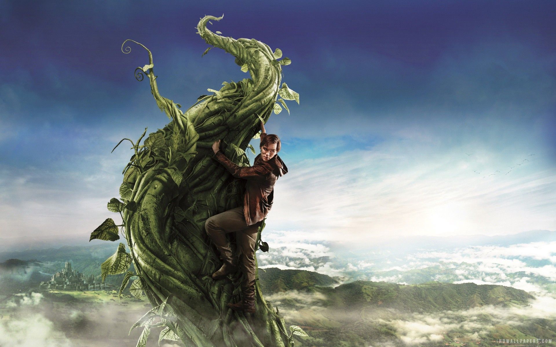 Fantasy & Imagination