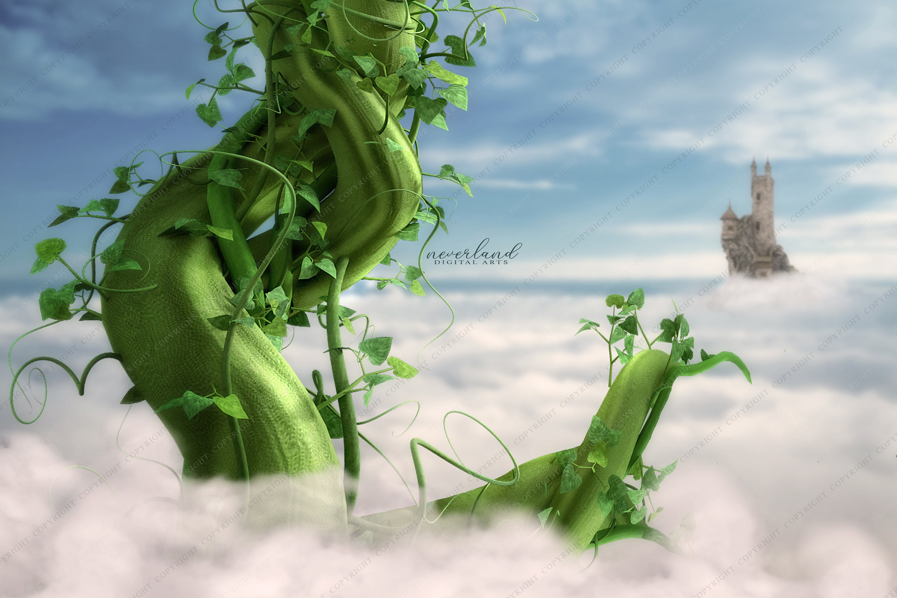 Jacks Beanstalk Digital Background for Photography
