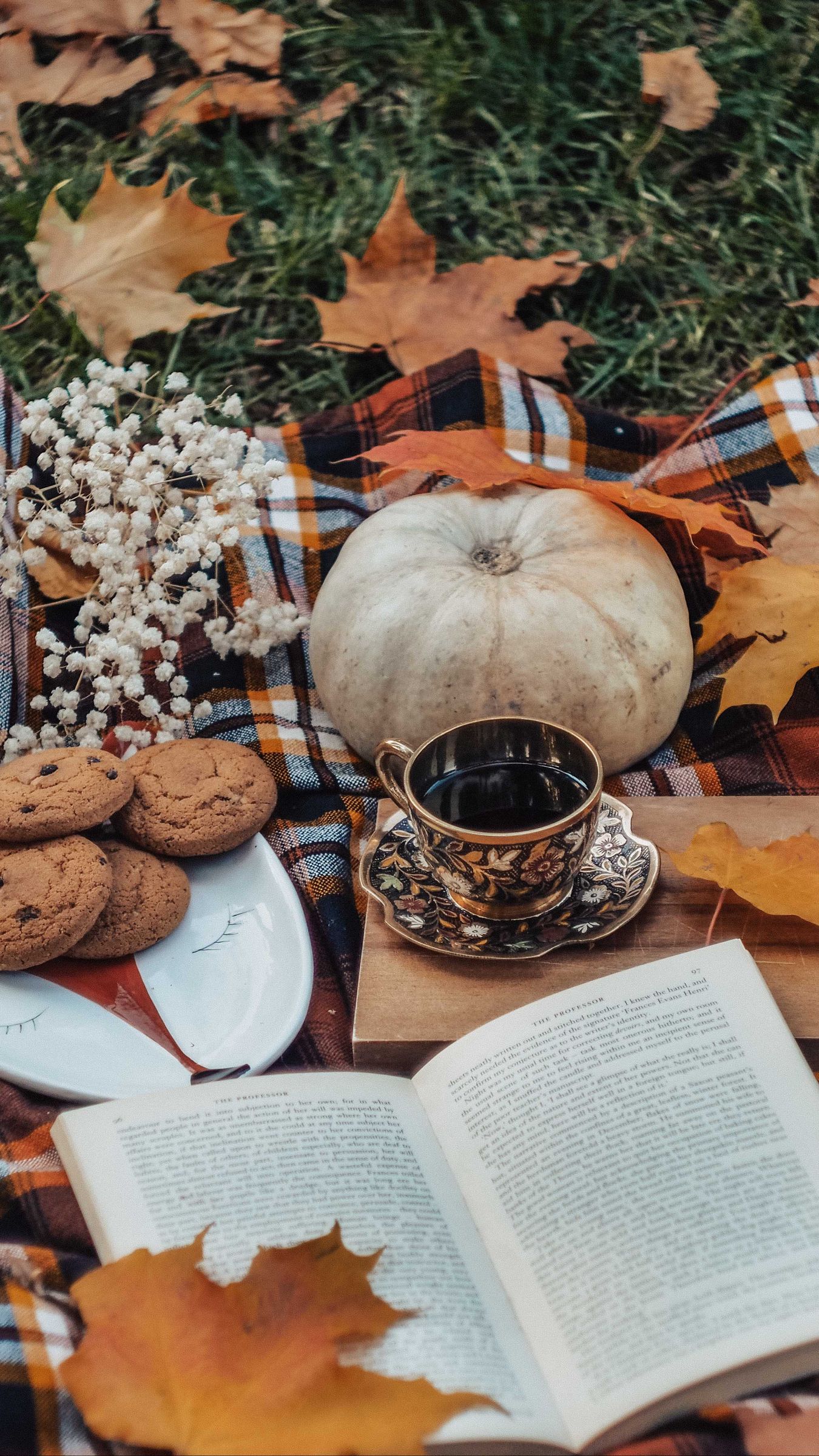 Download wallpaper 1350x2400 tea, book, autumn, cookies, leaves, pumpkin iphone 8+/7+/6s+/for parallax HD background