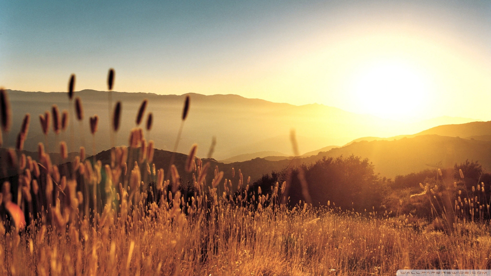 Late Summer Wallpaper For Desktop