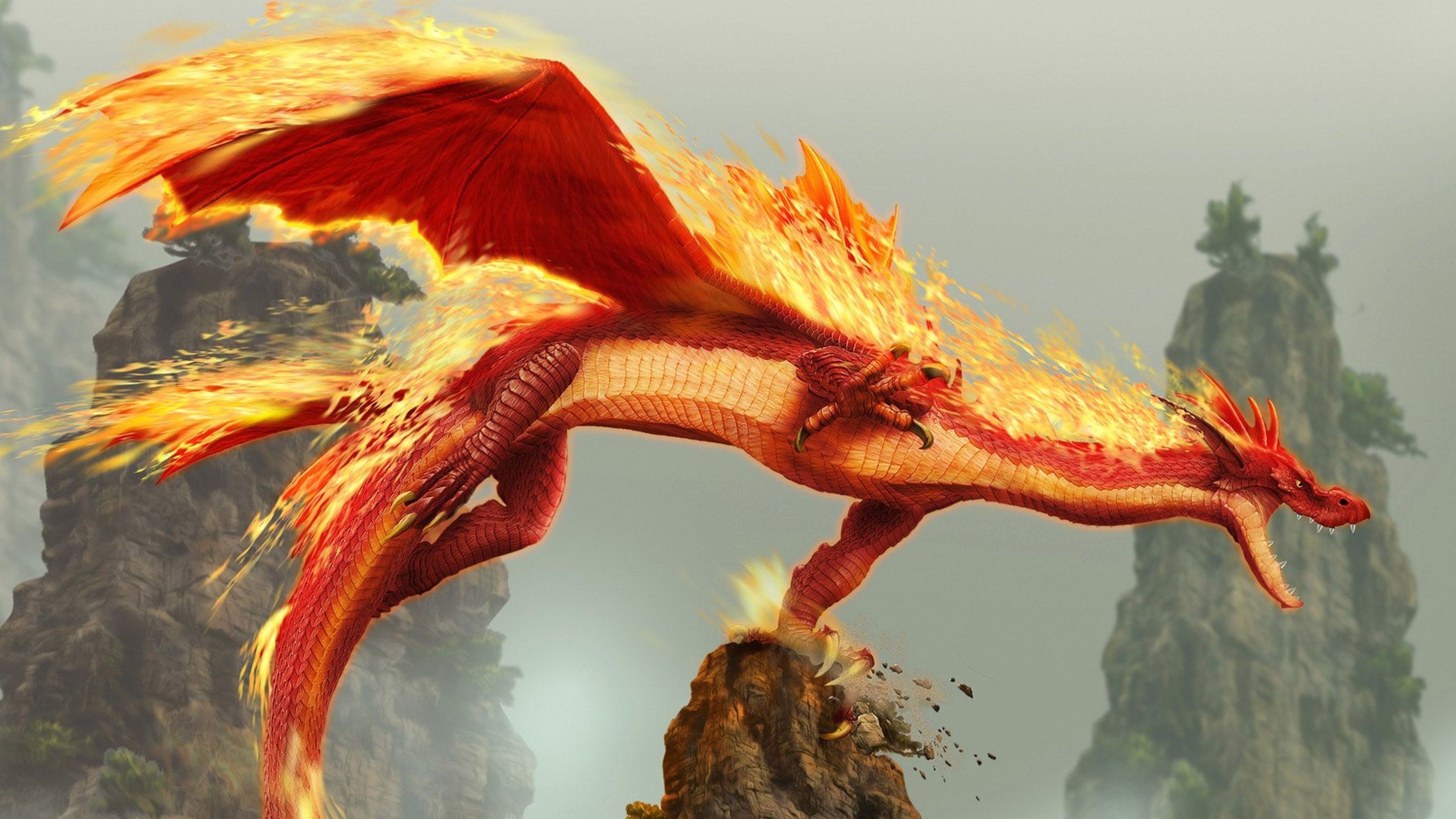 4K Fire Dragon Gallery HD Wallpaper