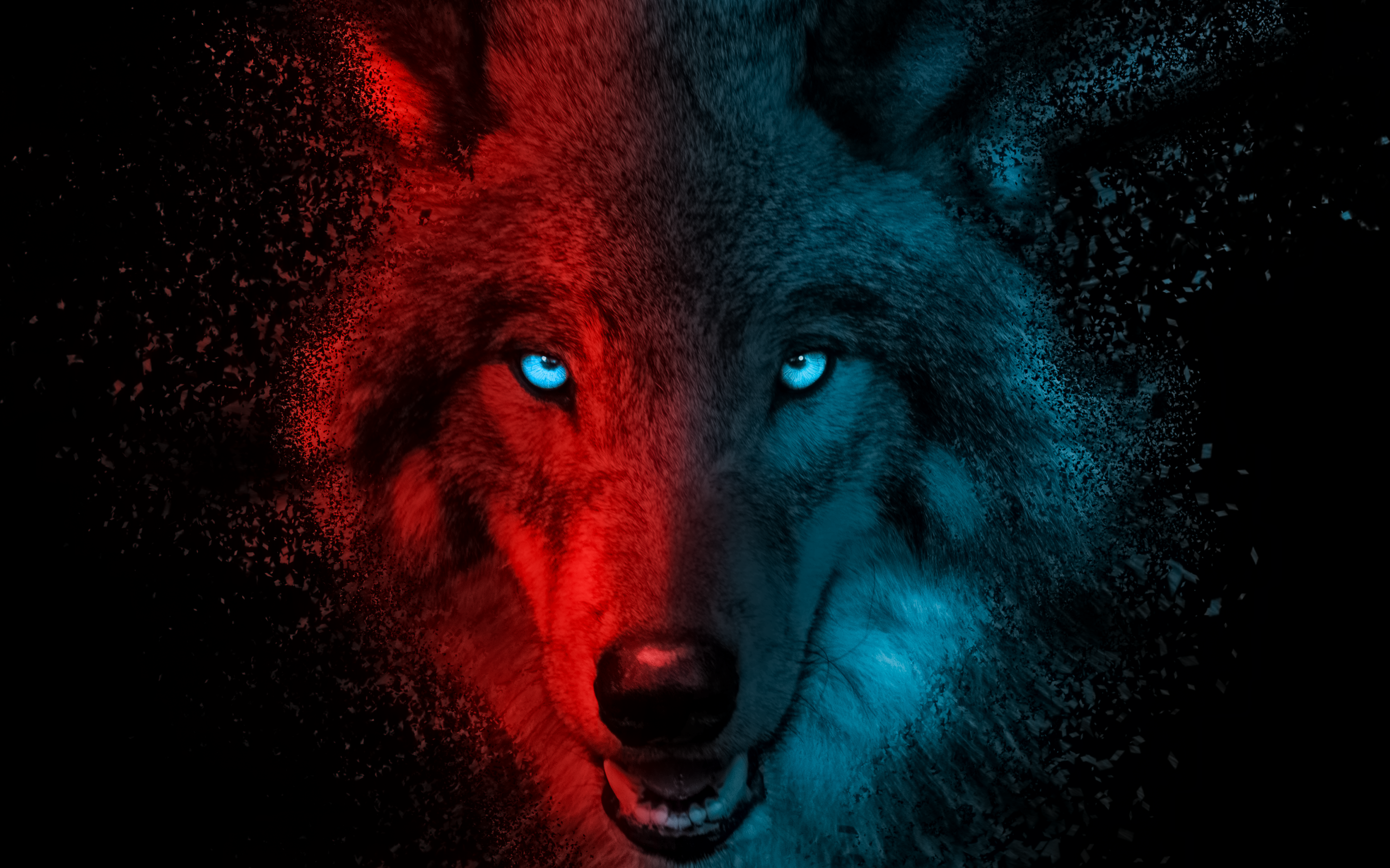 Wolf Wallpaper 4K, Scary, Gradient, Dark background