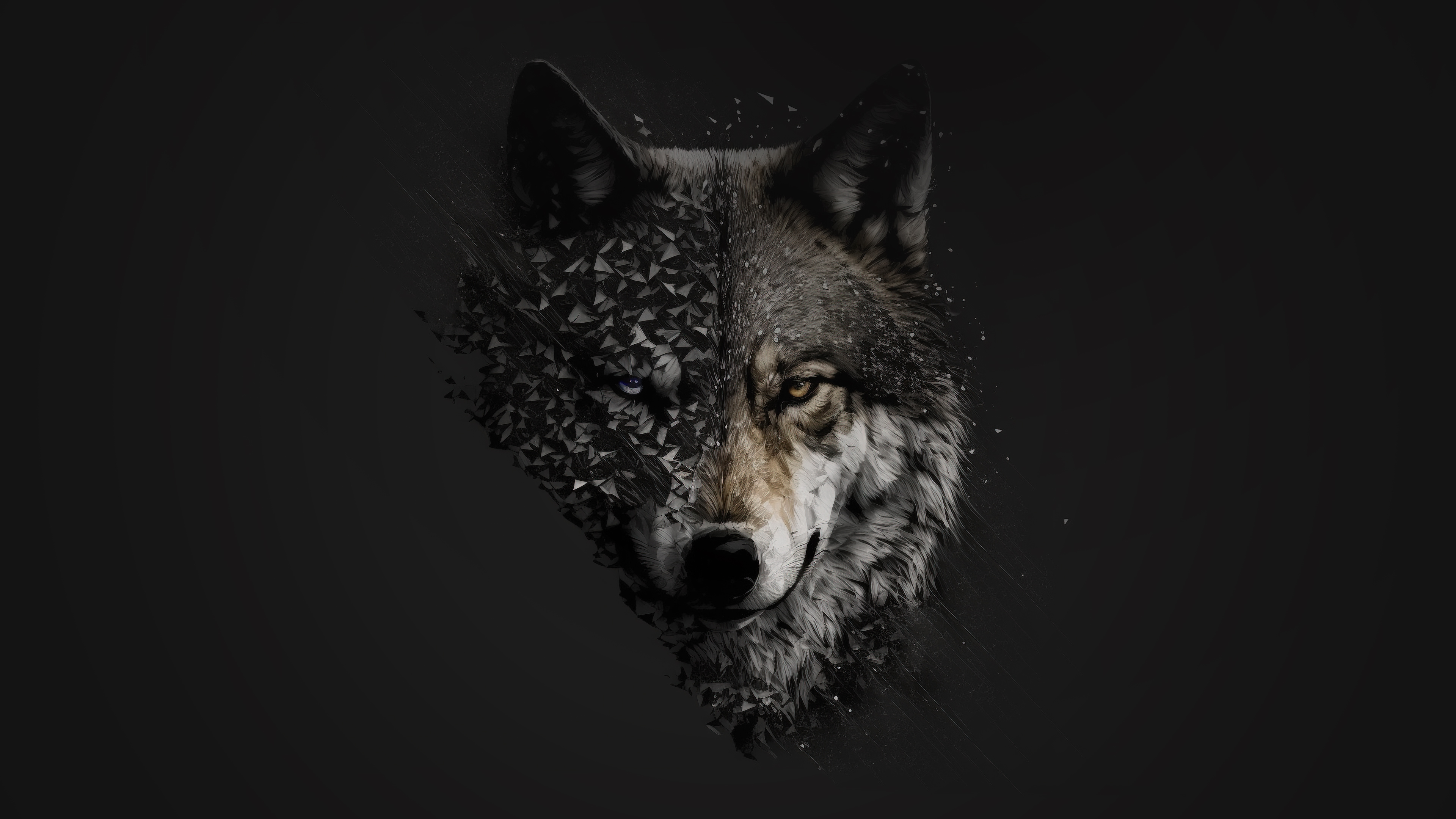Wolf Minimal 4k, HD Artist, 4k Wallpaper, Image, Background, Photo and Picture