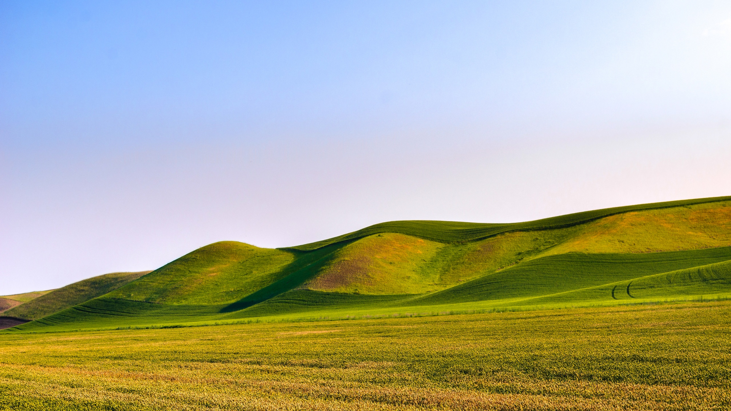Great Field Dunes Wallpaper 4K, Green Meadow, Landscape, Scenery