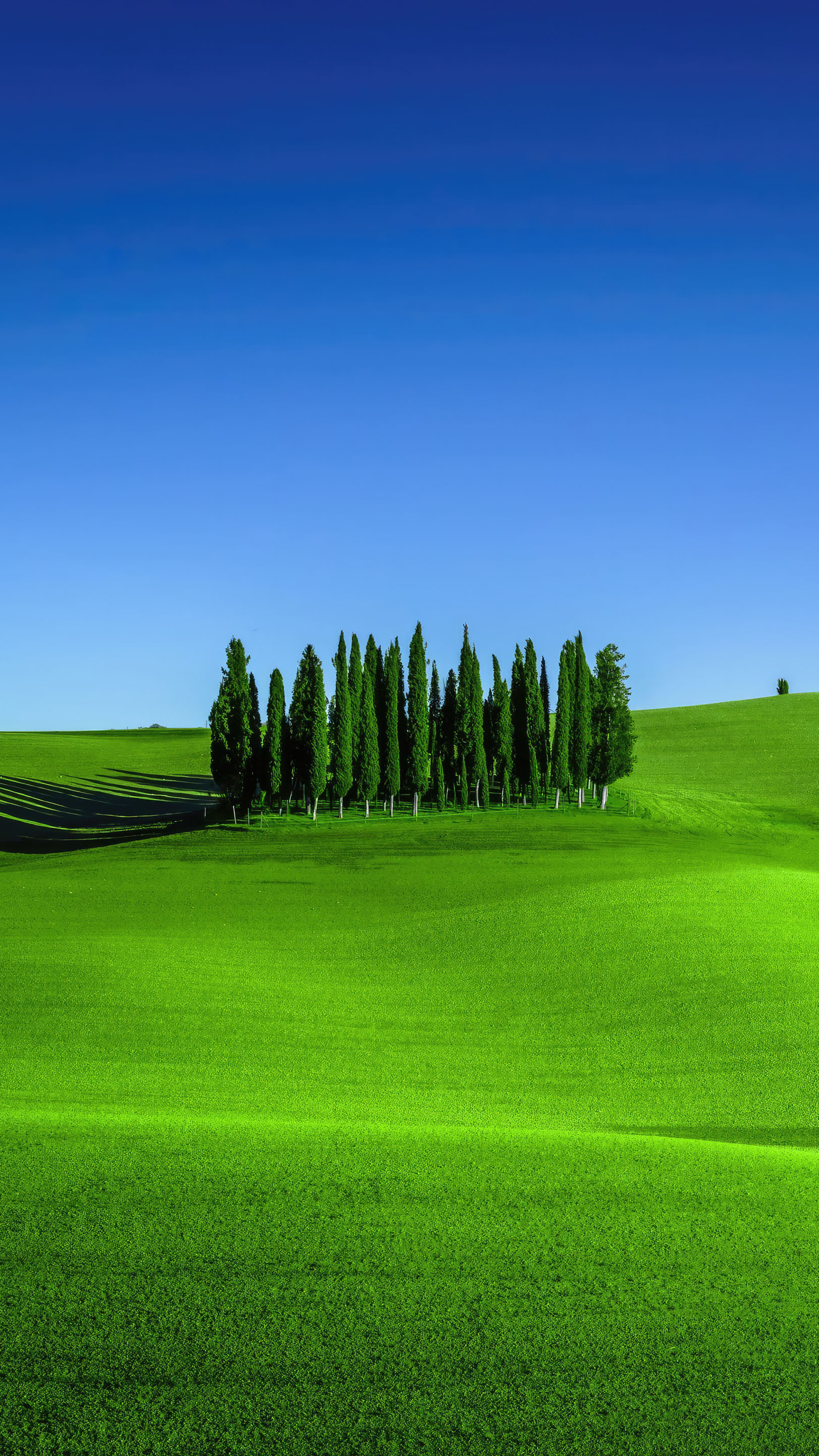 Green Meadows In Tuscany Landscape Scenery 4k Sony Xperia X, XZ, Z5 Premium HD 4k Wallpaper, Image, Background, Photo and Picture