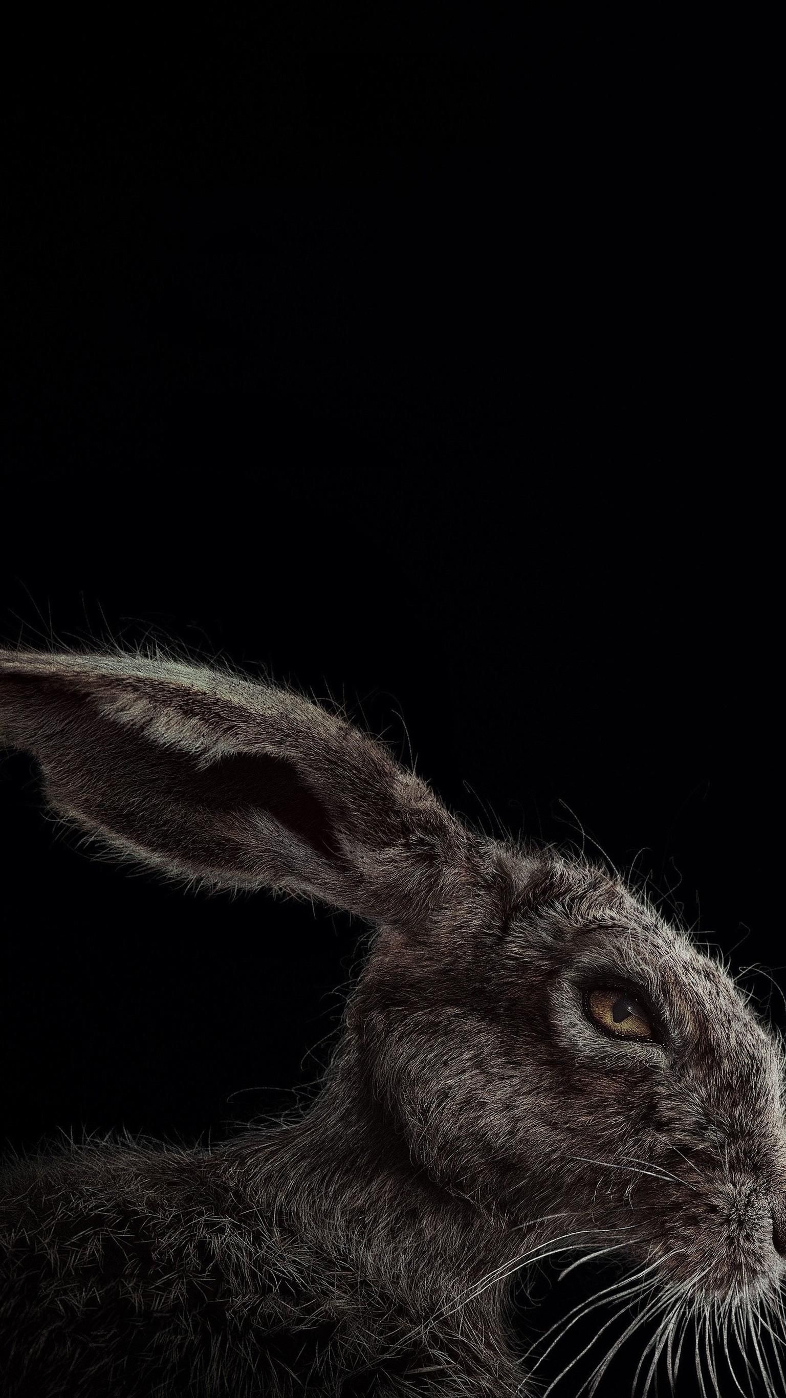 The Witch Phone Wallpaper. Moviemania. Witch wallpaper, Phone wallpaper, Scary art