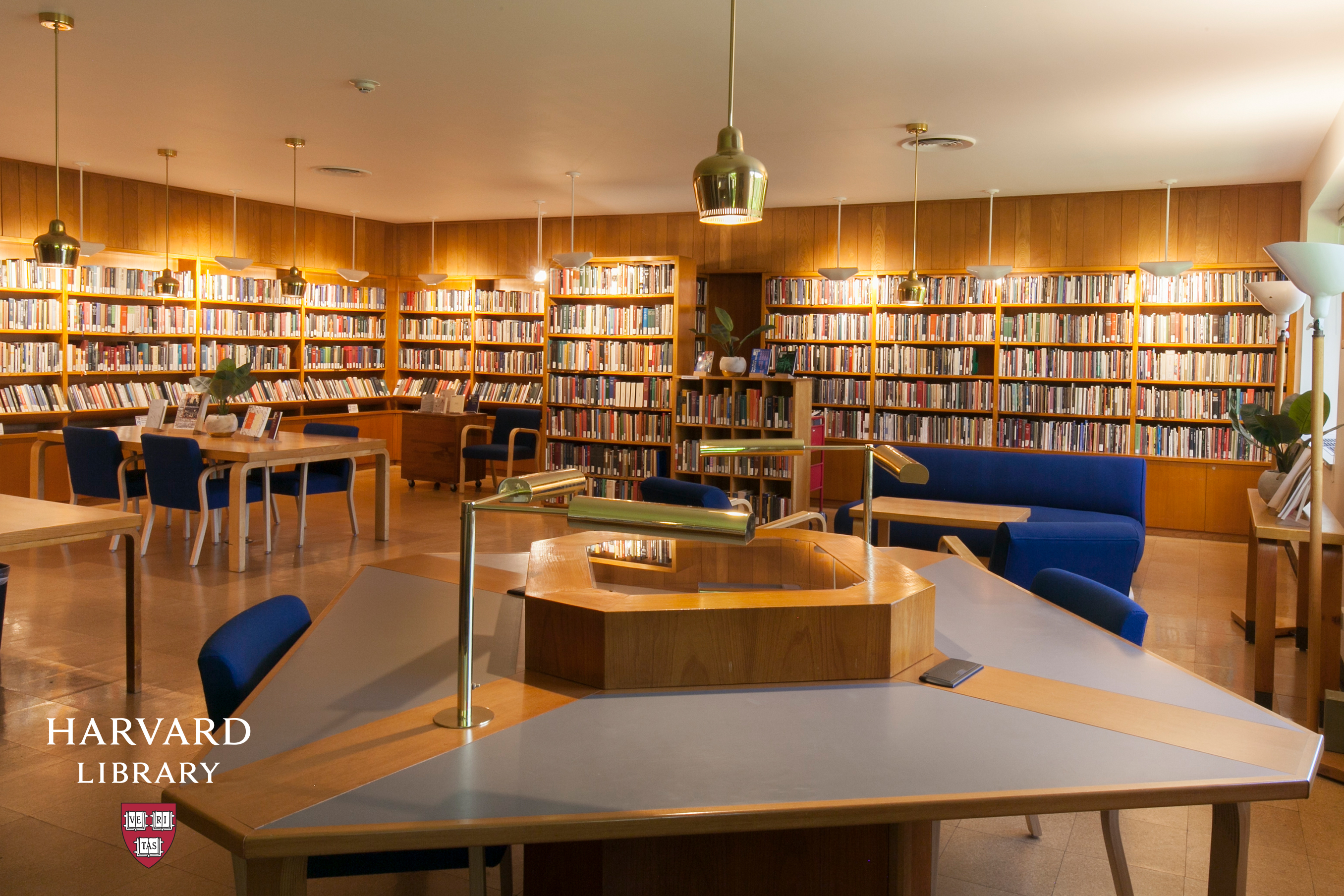 Upgrade Your Online Meeting with These Virtual Harvard Library Background