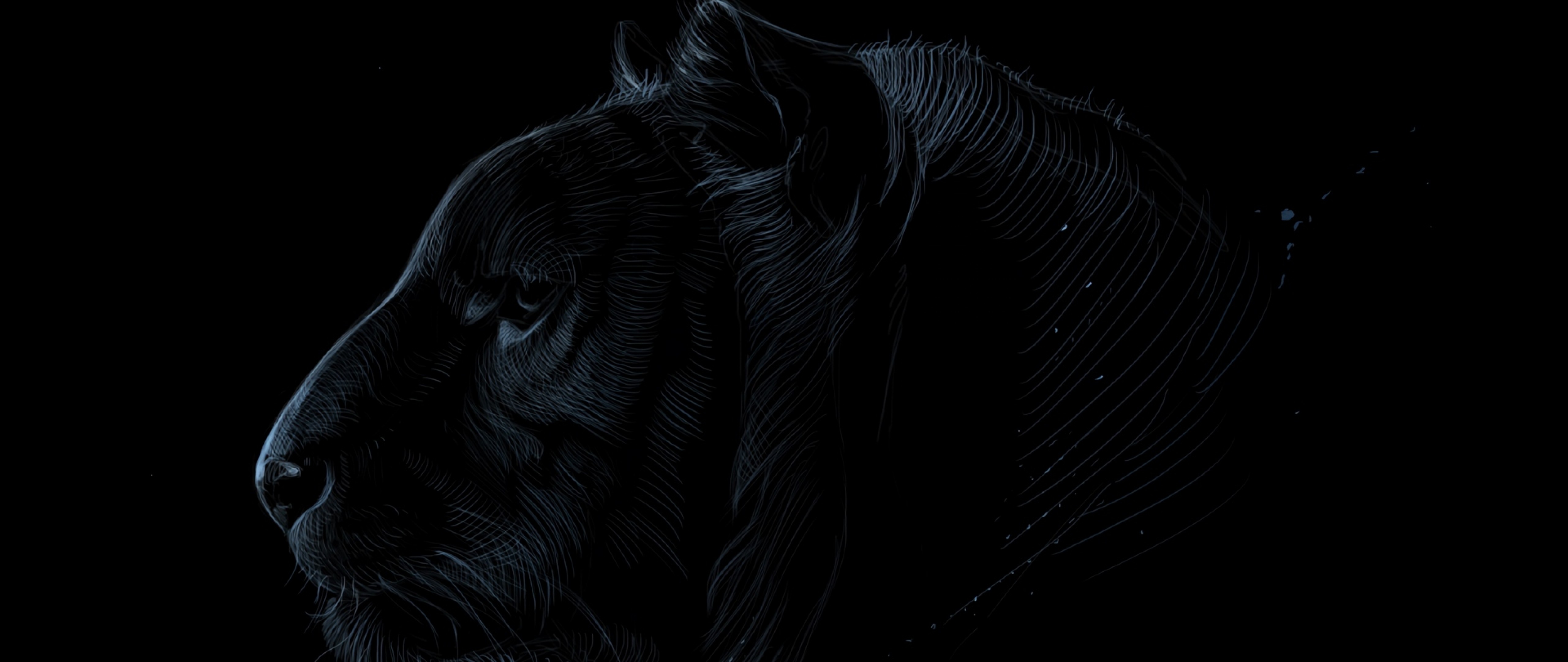 Dark tiger face HD Wallpaper 4K Ultra HD Wide TV Wallpaper .net