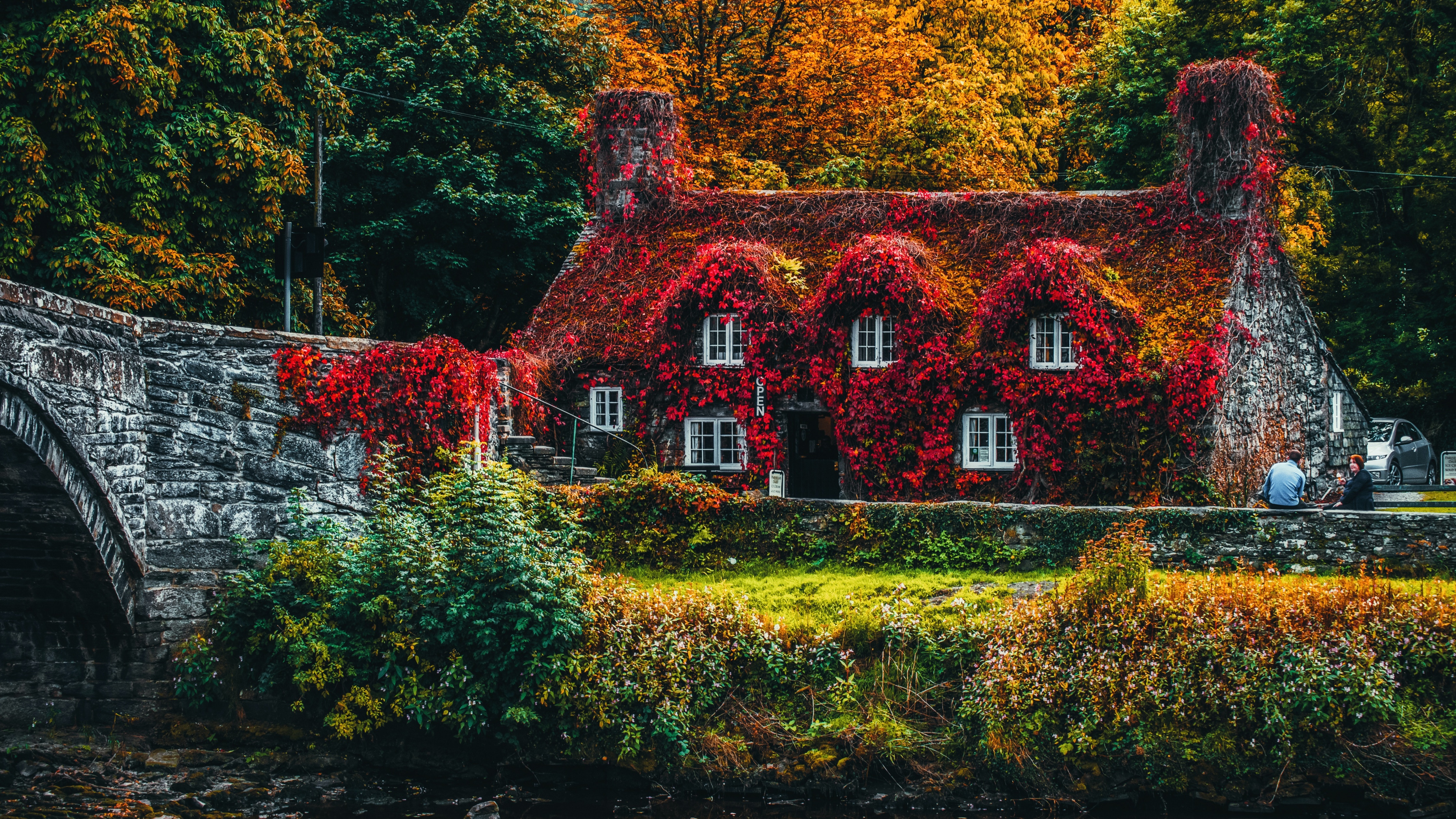 House Covered by Trees Wallpaper 4K, Autumn trees, Bridge