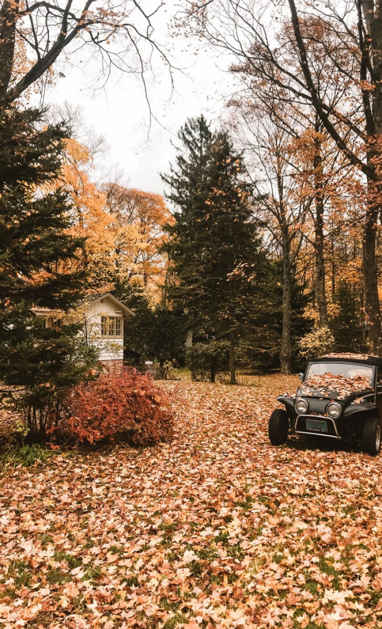 Home sweet home dream house with fall leaves Wallpaper